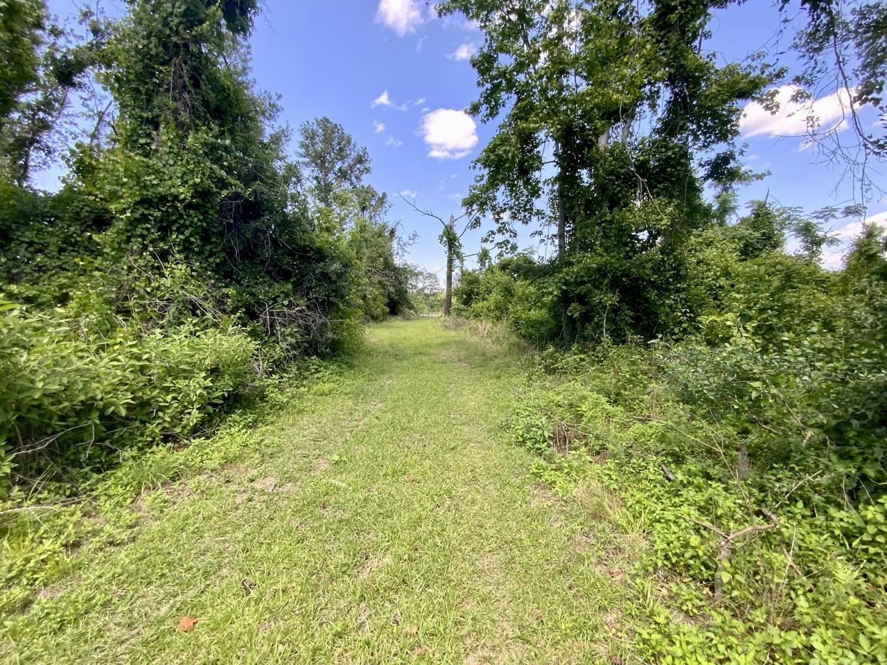 427 SW Castleberry Trail, Madison, Florida image 6