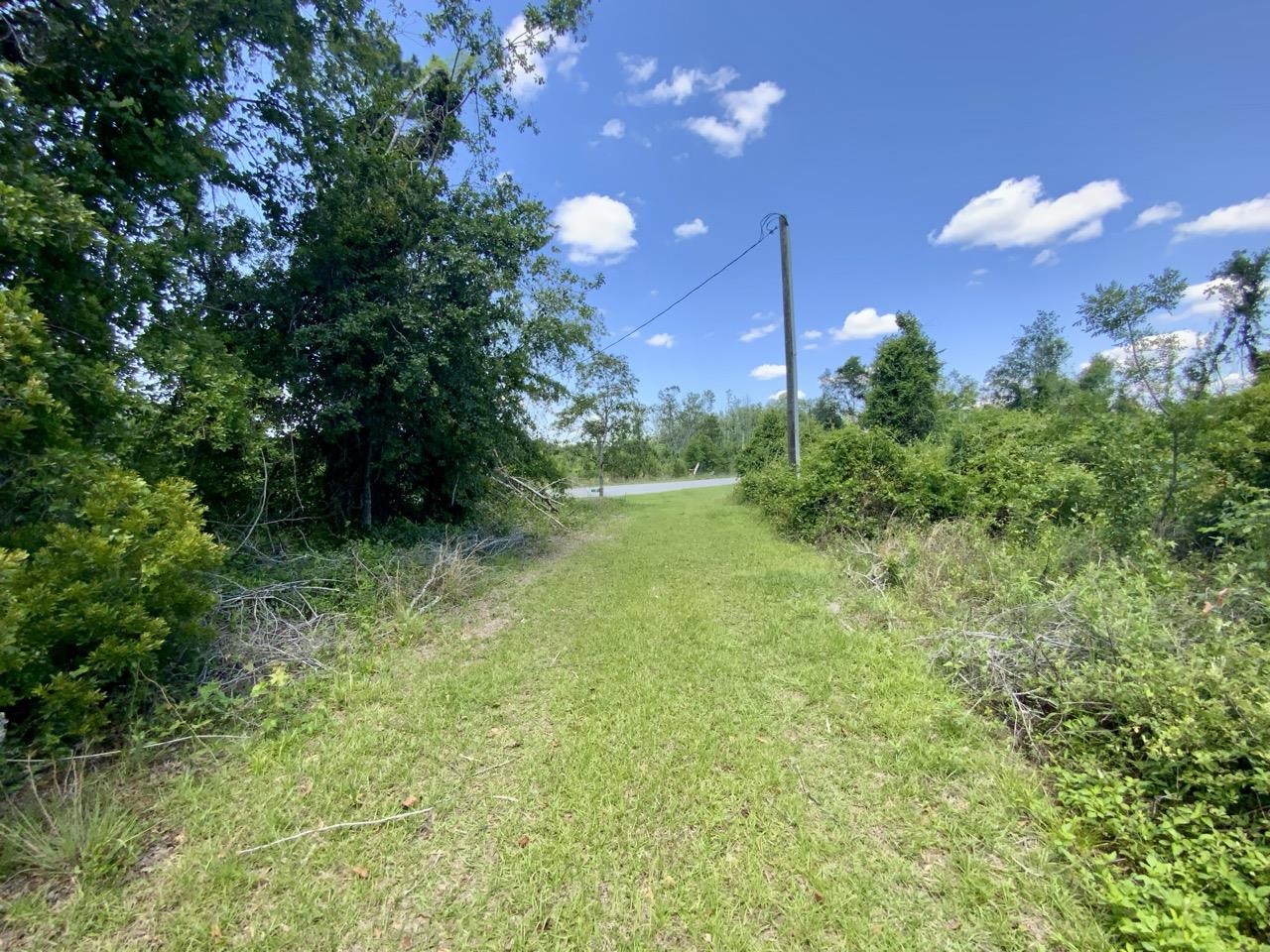427 SW Castleberry Trail, Madison, Florida image 7