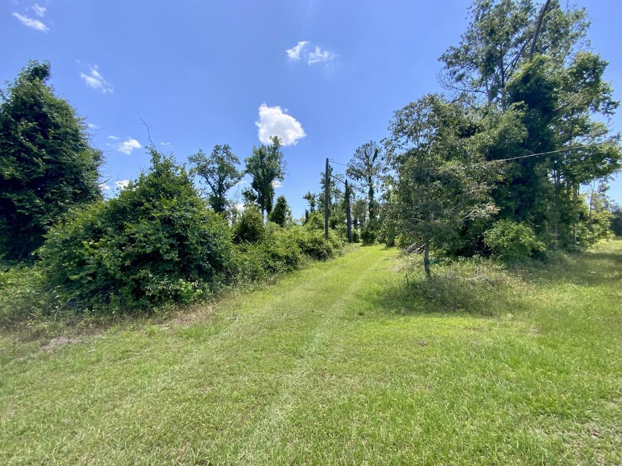 427 SW Casselberry Trail, Madison, Florida image 8