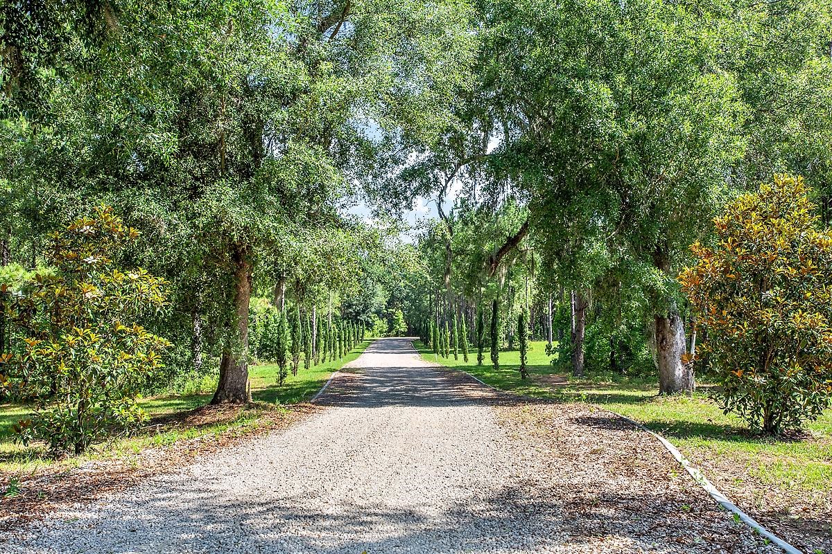 10080 Mahan Drive, Tallahassee, Florida image 1