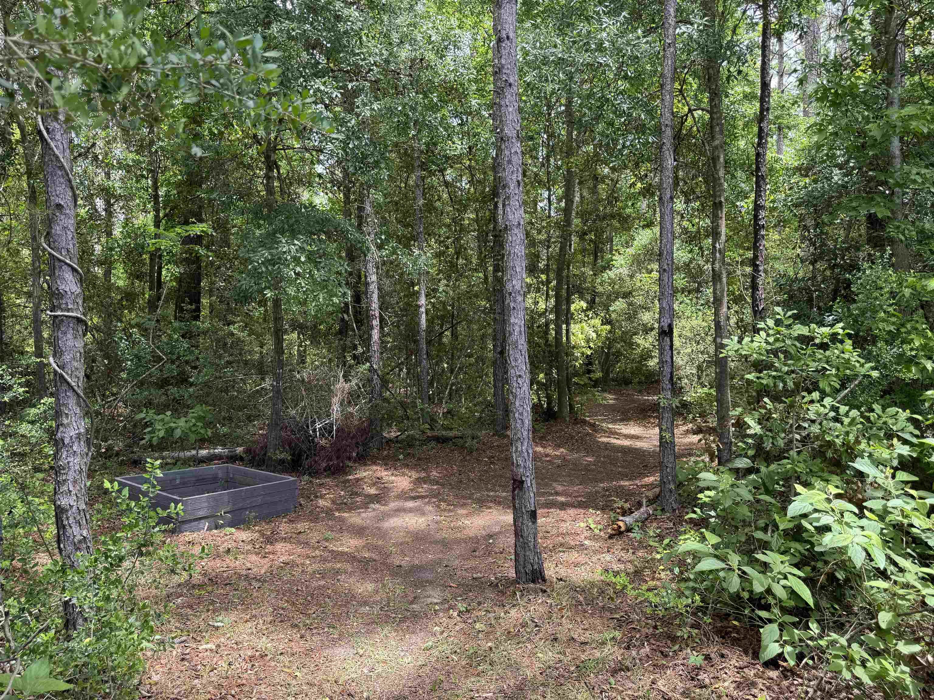 106 Parkside Circle, Crawfordville, Florida image 36