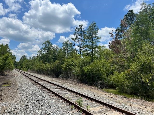 TBD SW Open Sands Loop, Greenville, Florida image 4