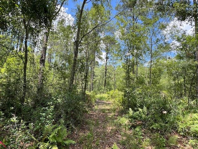 TBD SW Open Sands Loop, Greenville, Florida image 5