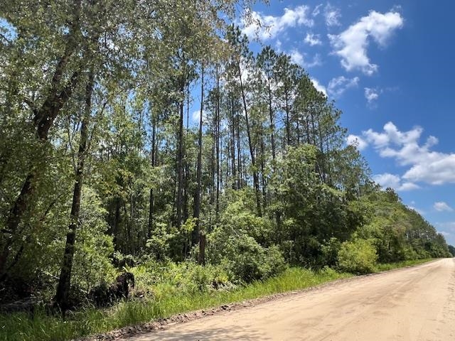 TBD SW Open Sands Loop, Greenville, Florida image 6