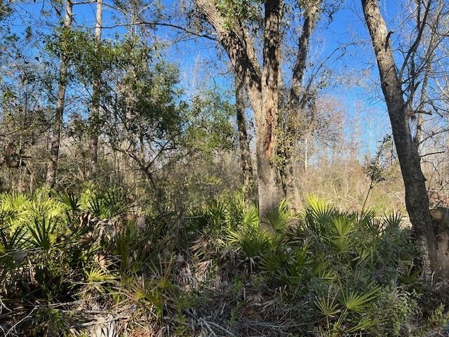 TBD SW Open Sands Loop, Greenville, Florida image 7