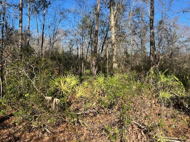 TBD SW Open Sands Loop, Greenville, Florida image 9
