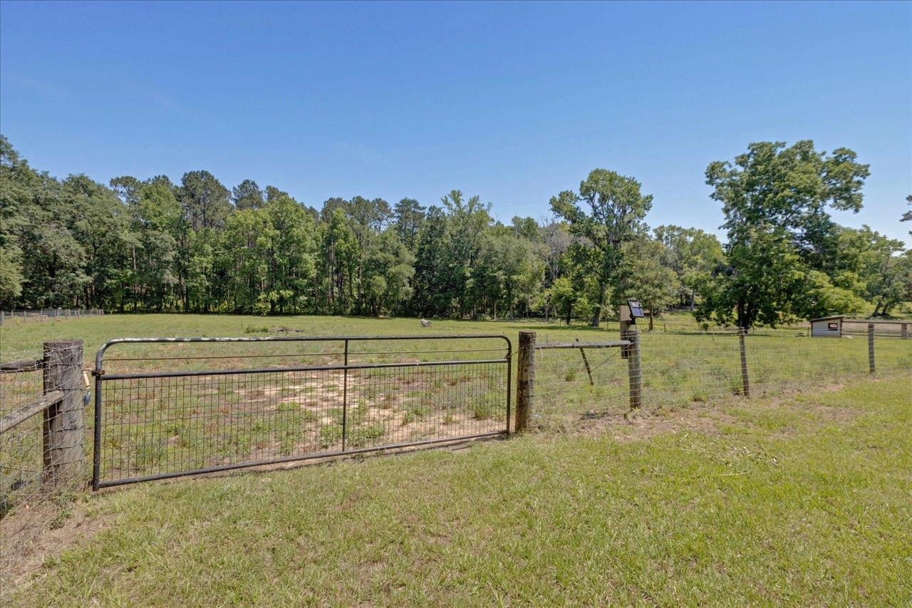 16824 Mahan Drive, Tallahassee, Florida image 36