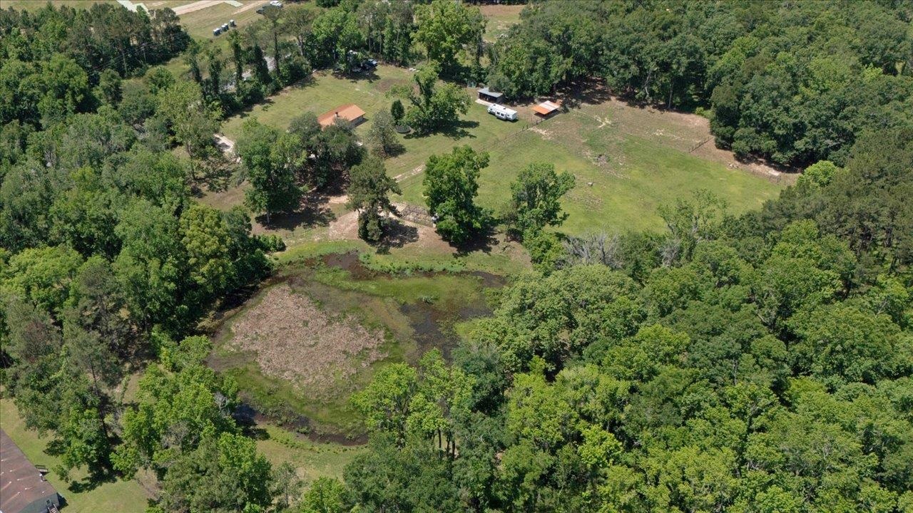 16824 Mahan Drive, Tallahassee, Florida image 40
