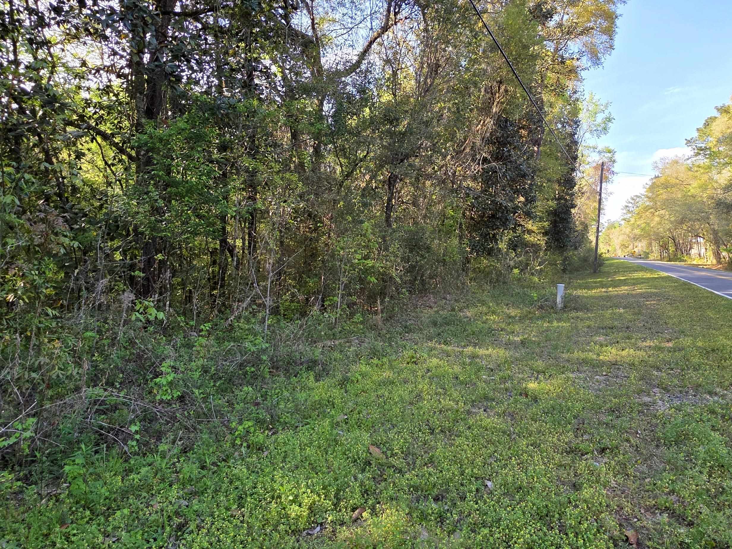 Williams Landing Road #LOT 28, Tallahassee, Texas image 3