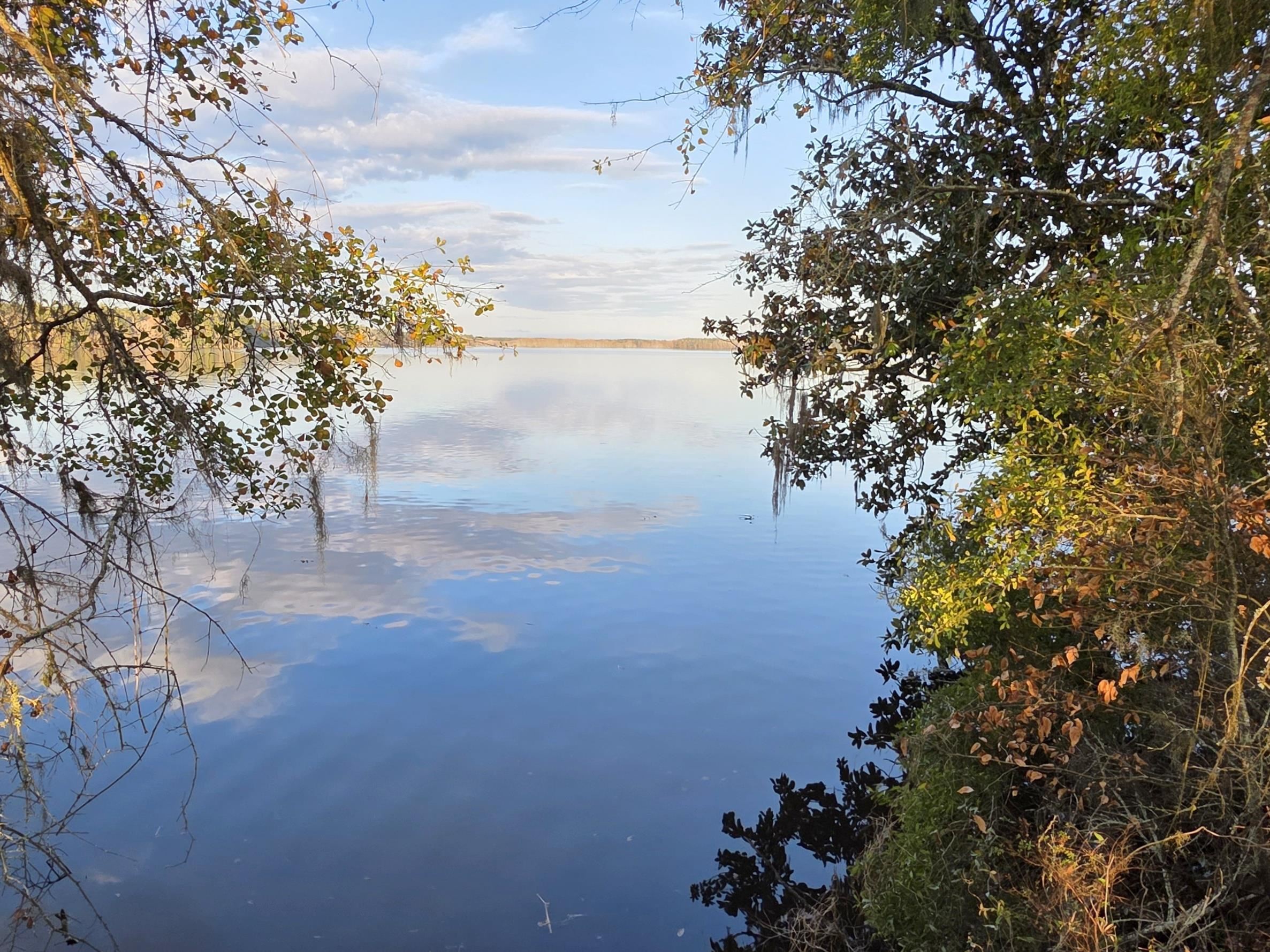 Williams Landing Road #LOT 28, Tallahassee, Texas image 6