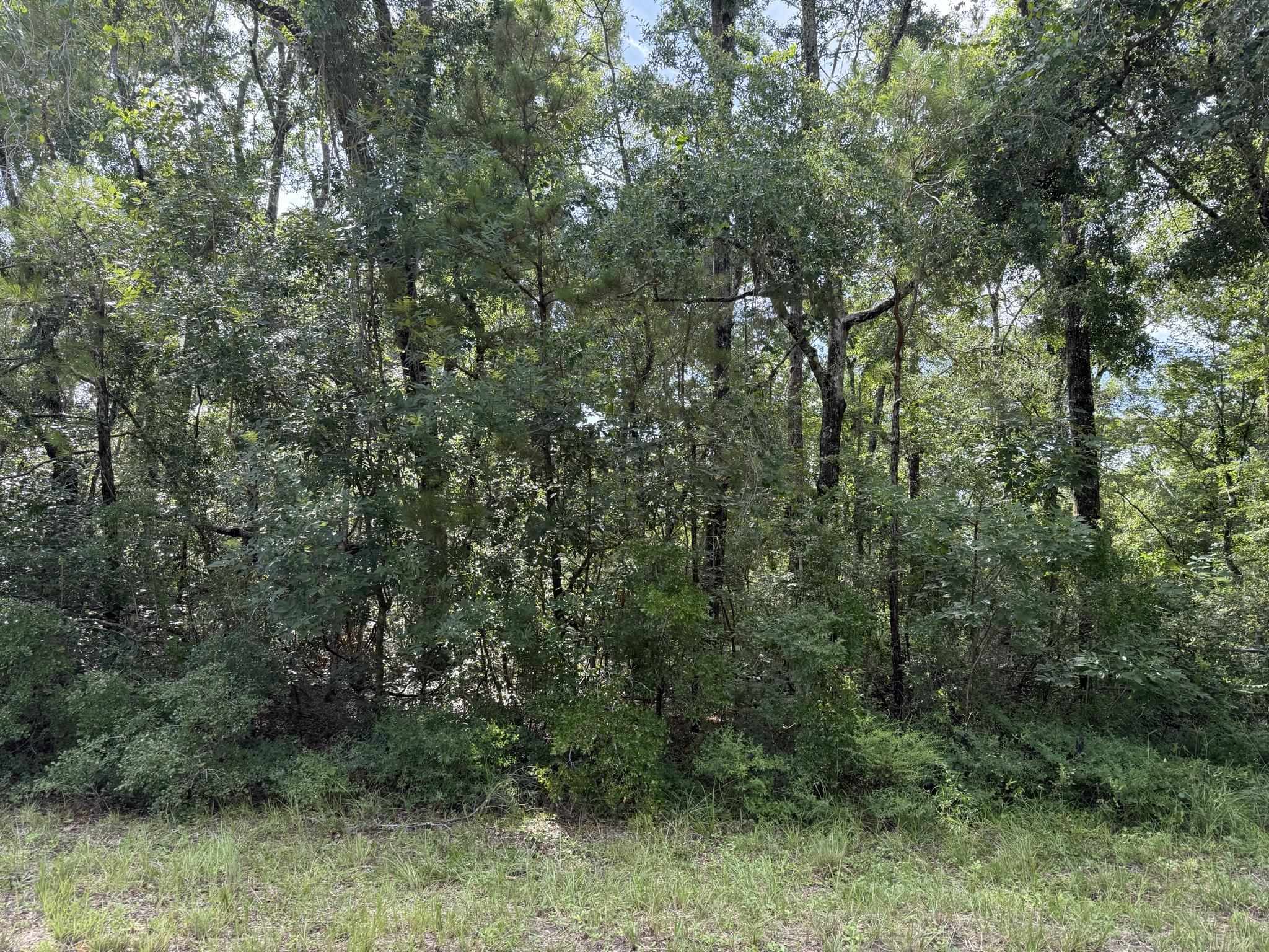 Running Springs Drive, Live Oak, Florida image 11