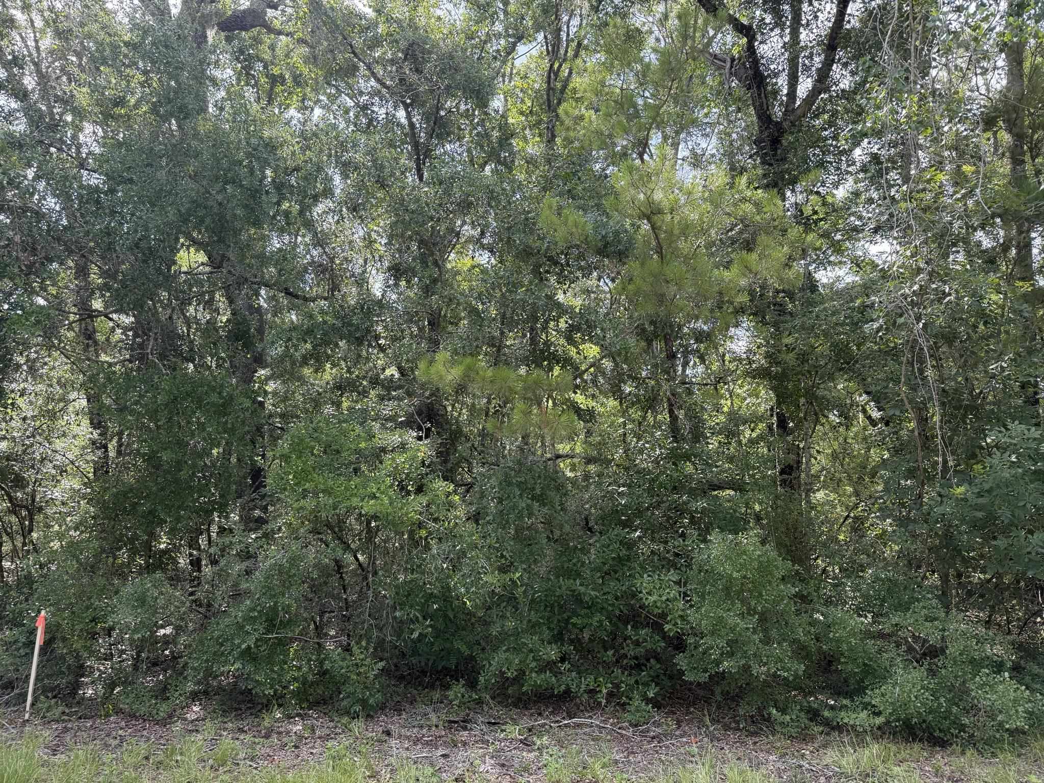 Running Springs Drive, Live Oak, Florida image 13