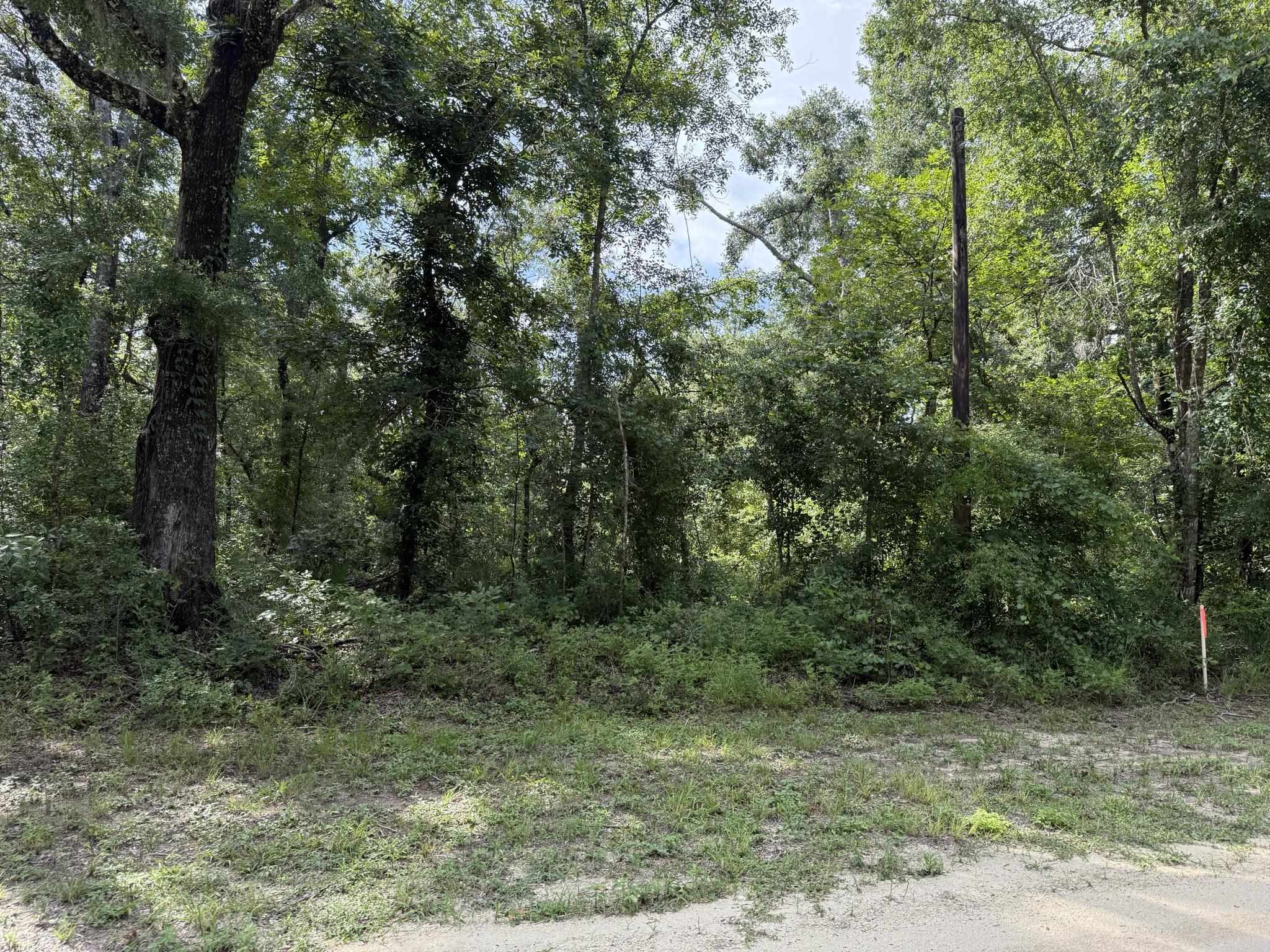 Running Springs Drive, Live Oak, Florida image 8