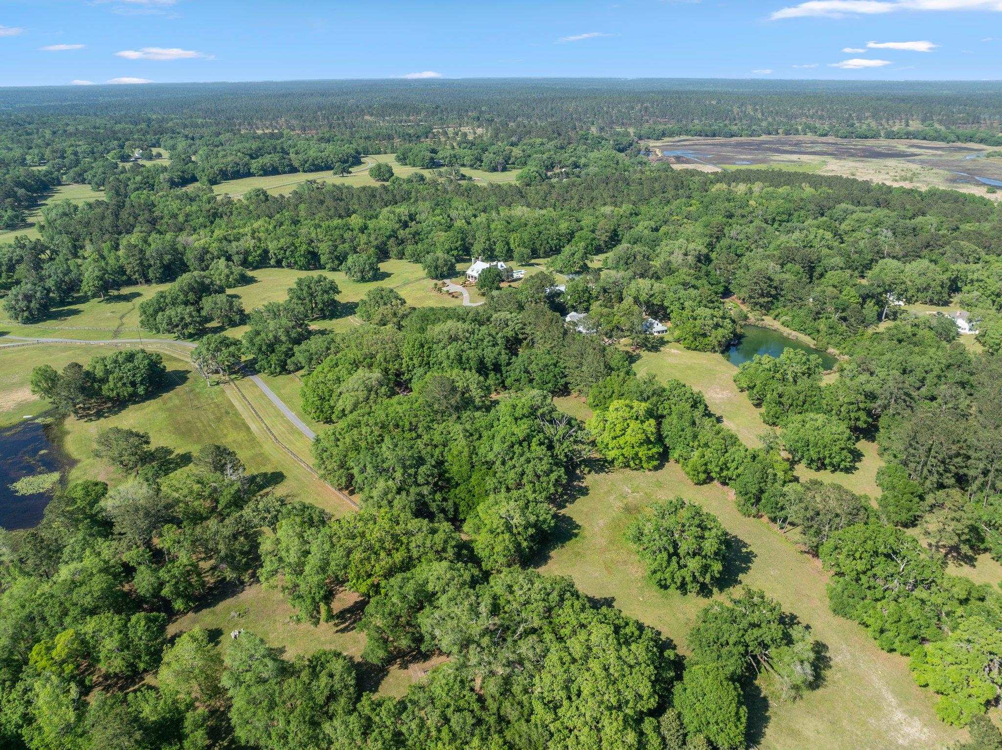 9525 Woodland Hills Way, Tallahassee, Florida image 4