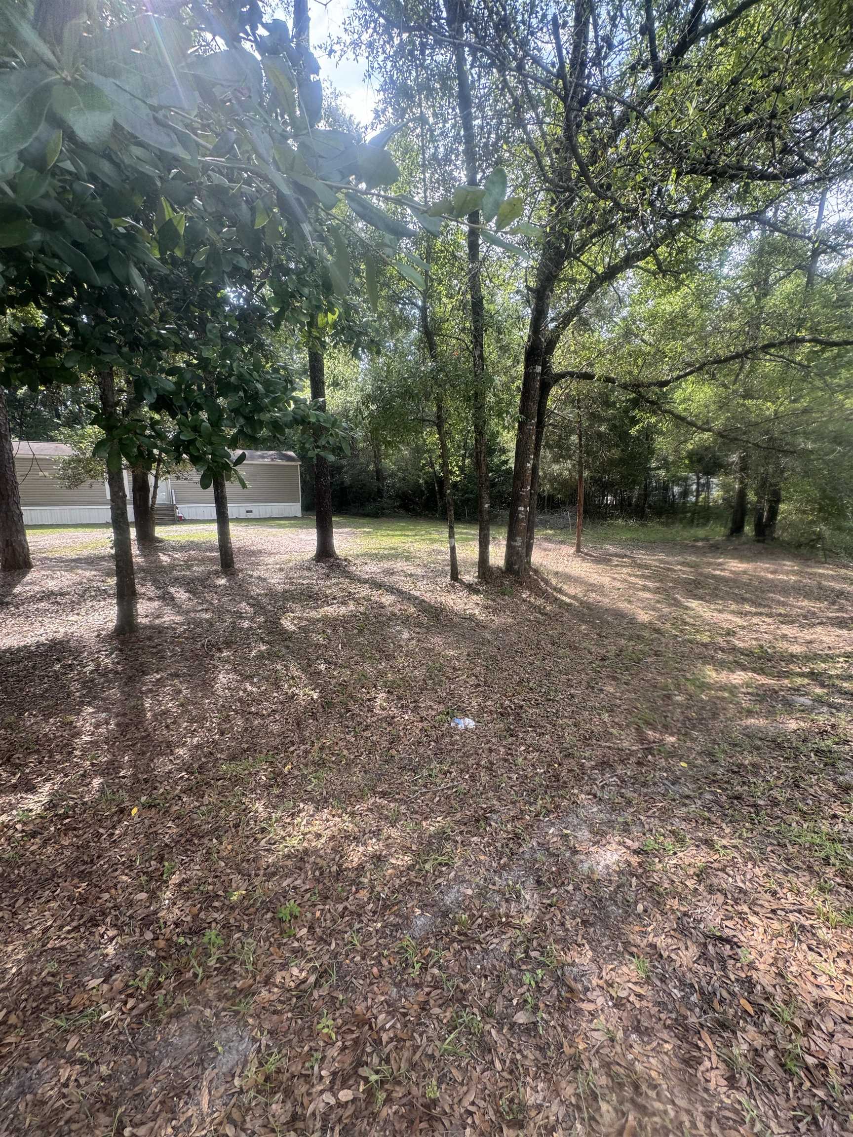 10052 Green Fountain Road, Tallahassee, Florida image 3