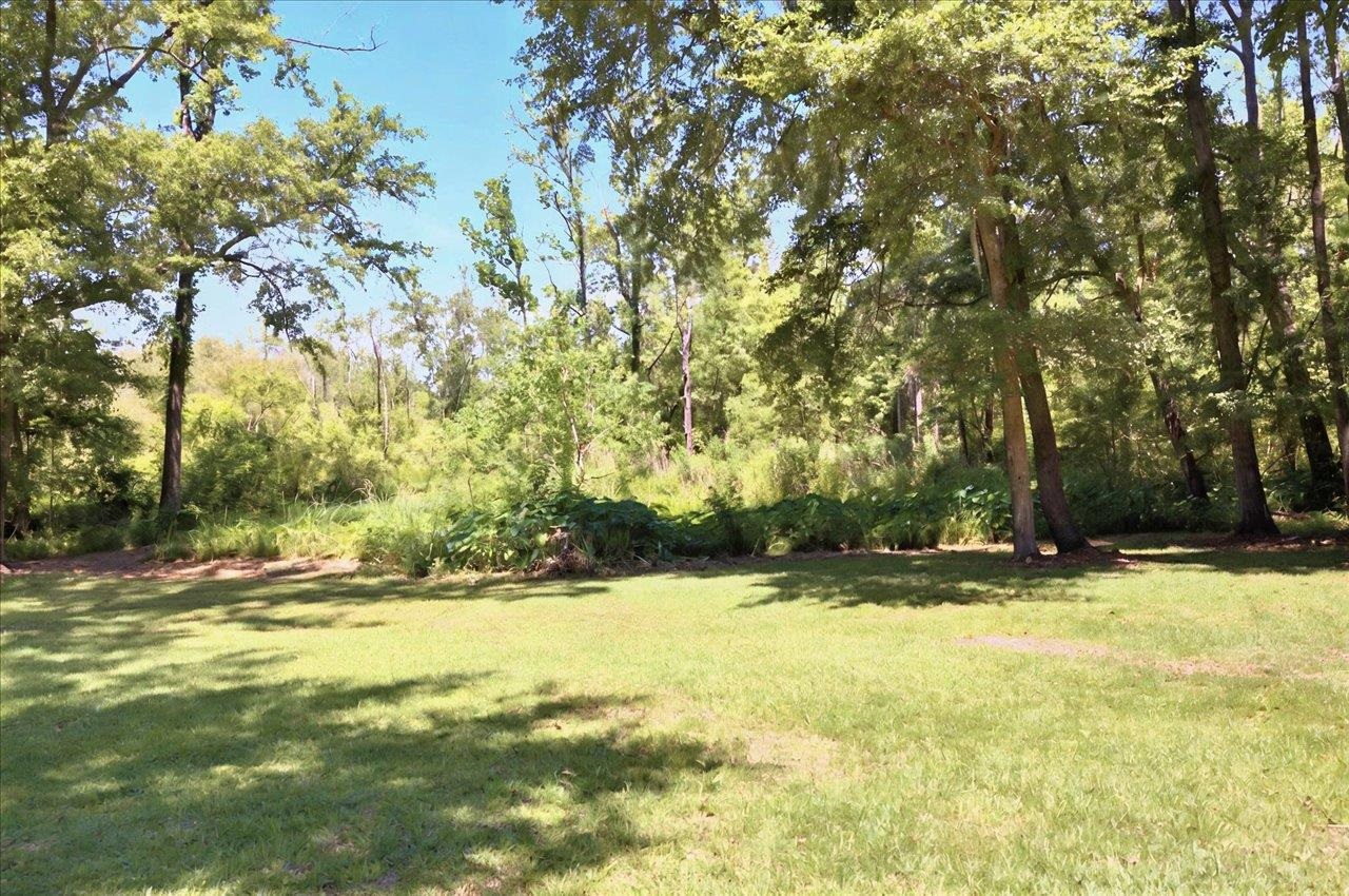296 Timberlane Road, Tallahassee, Florida image 25