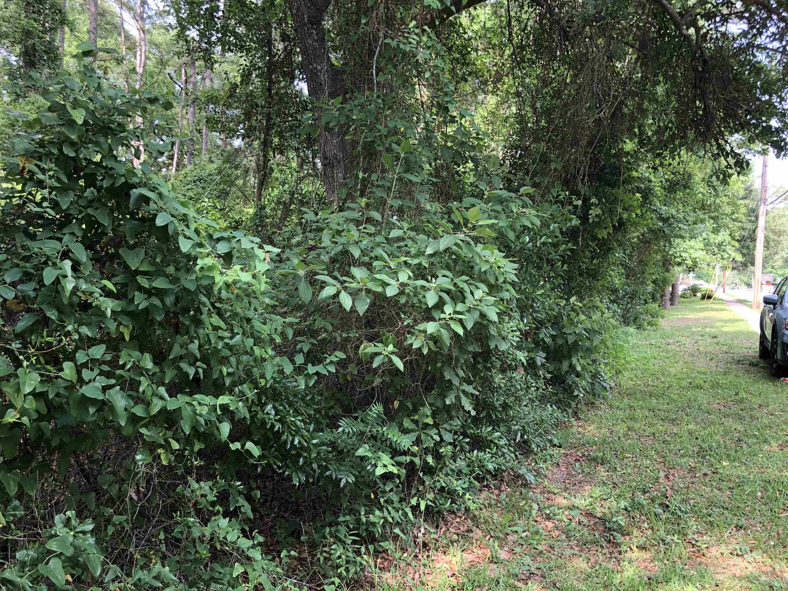 00 Henderson Road, Tallahassee, Florida image 1
