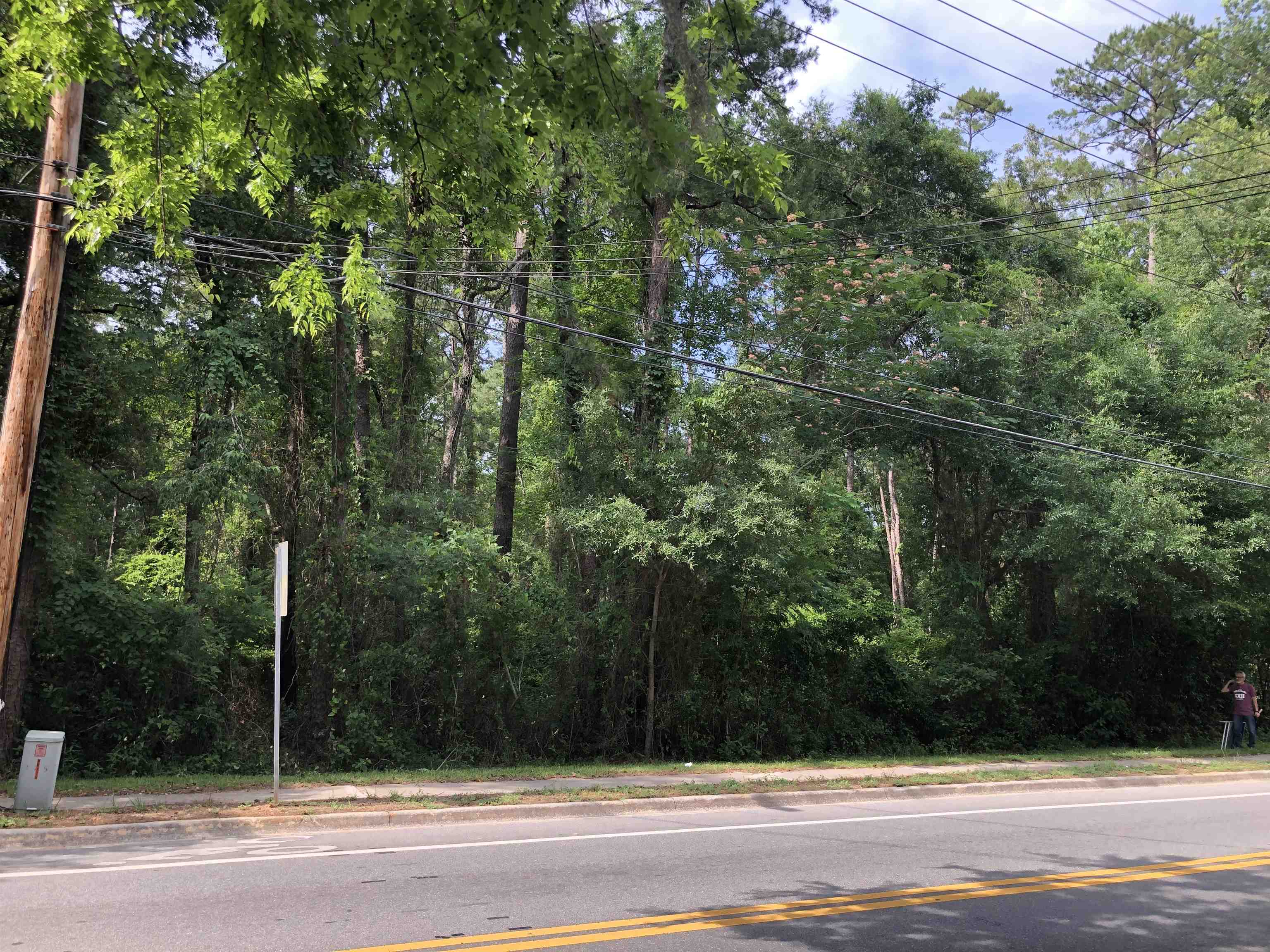 00 Henderson Road, Tallahassee, Florida image 4
