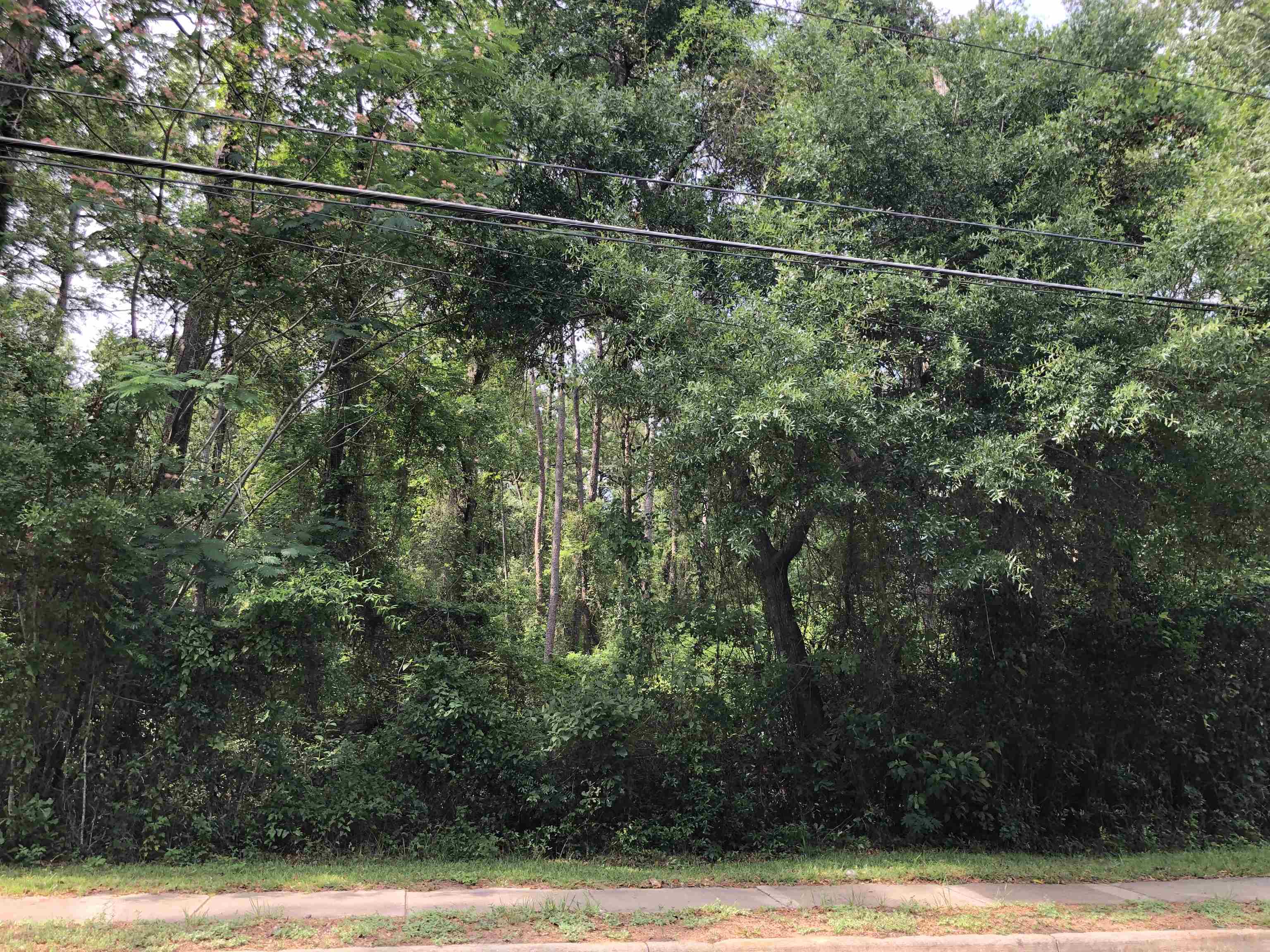 00 Henderson Road, Tallahassee, Florida image 5