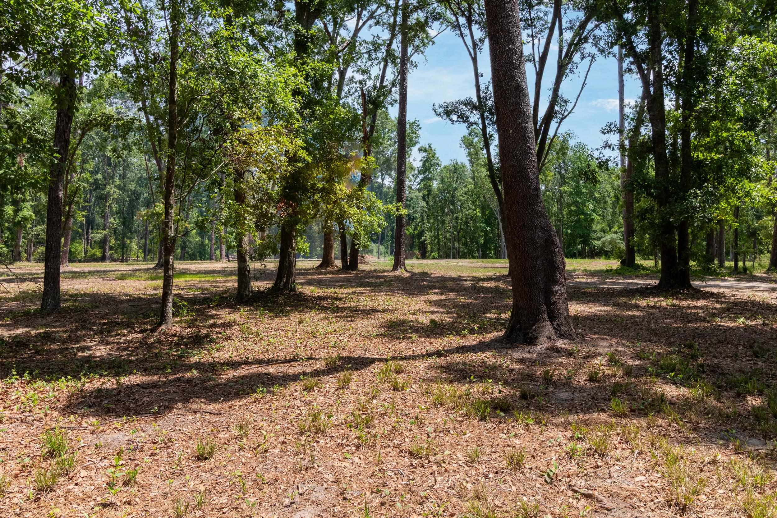 91 W 7th Way, Greenville, Florida image 1