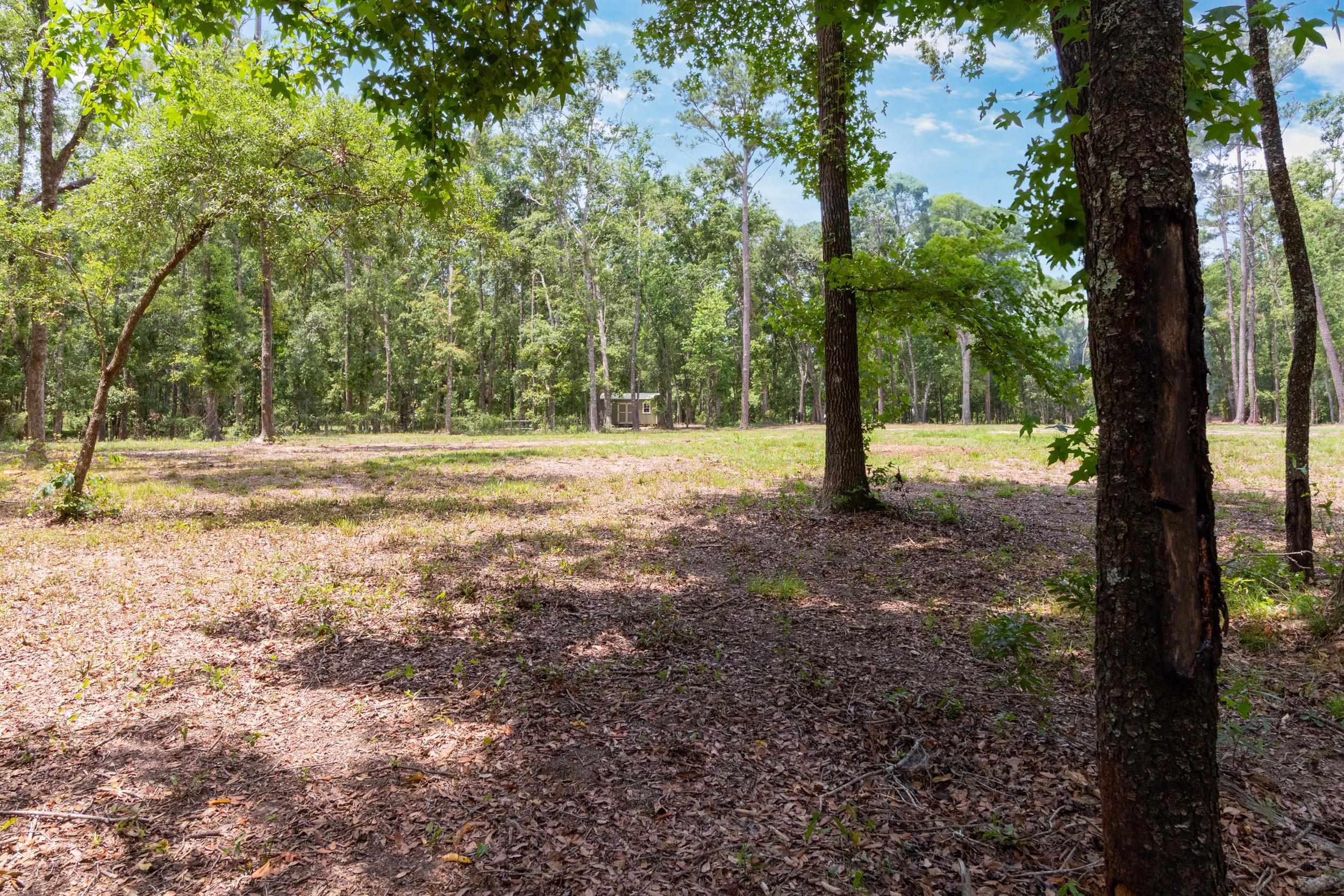91 W 7th Way, Greenville, Florida image 10