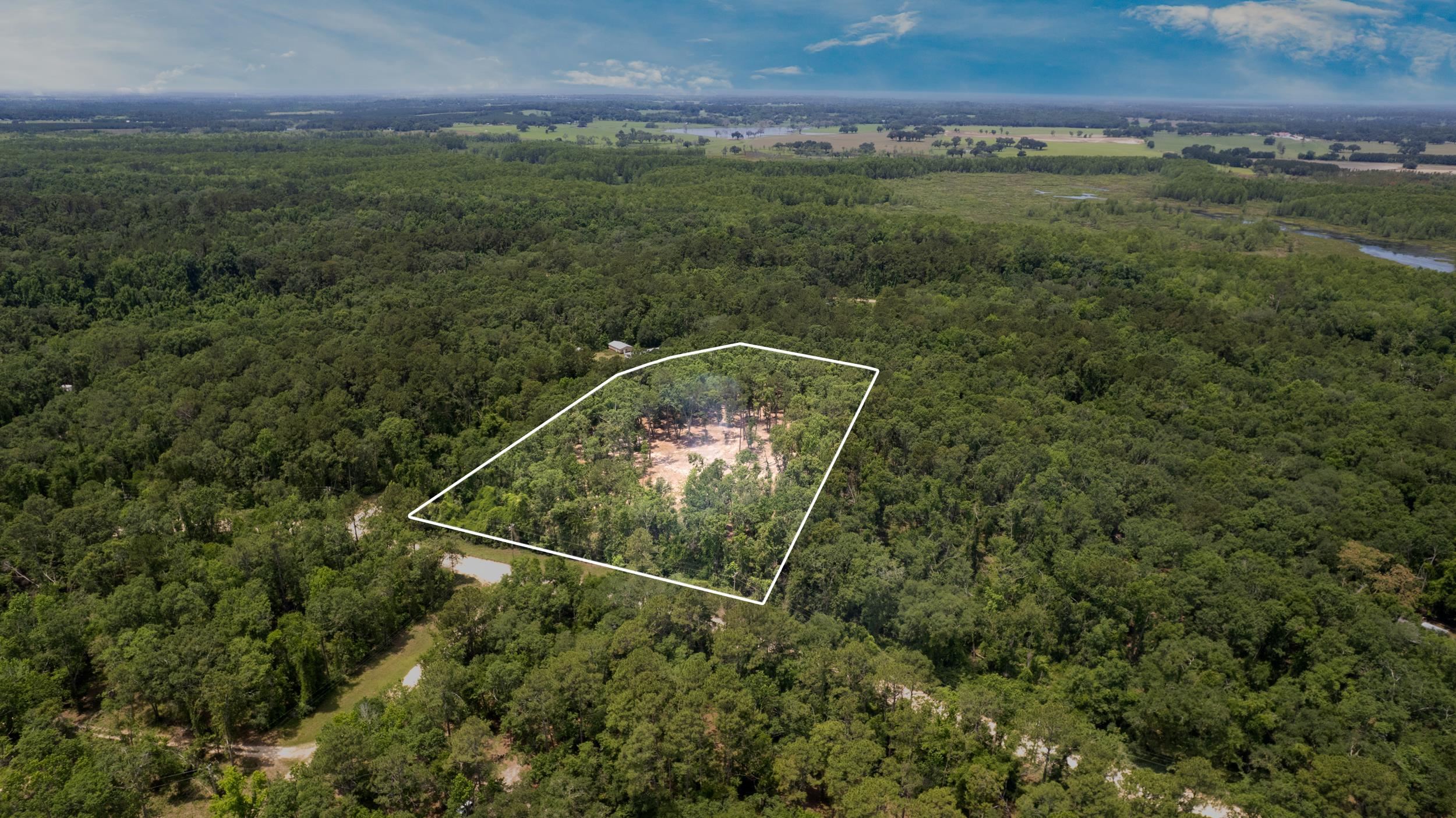 91 W 7th Way, Greenville, Florida image 11