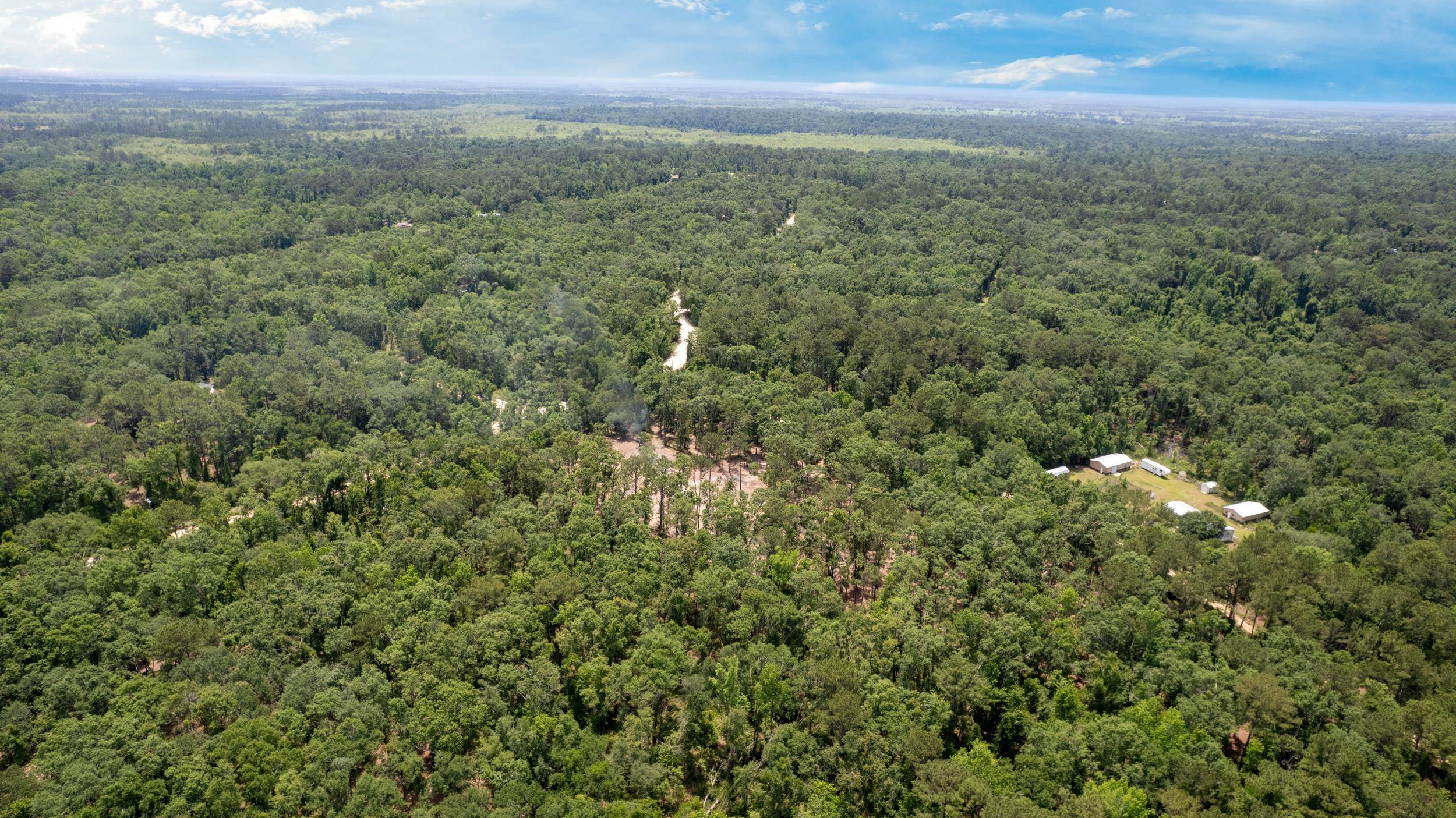 91 W 7th Way, Greenville, Florida image 14