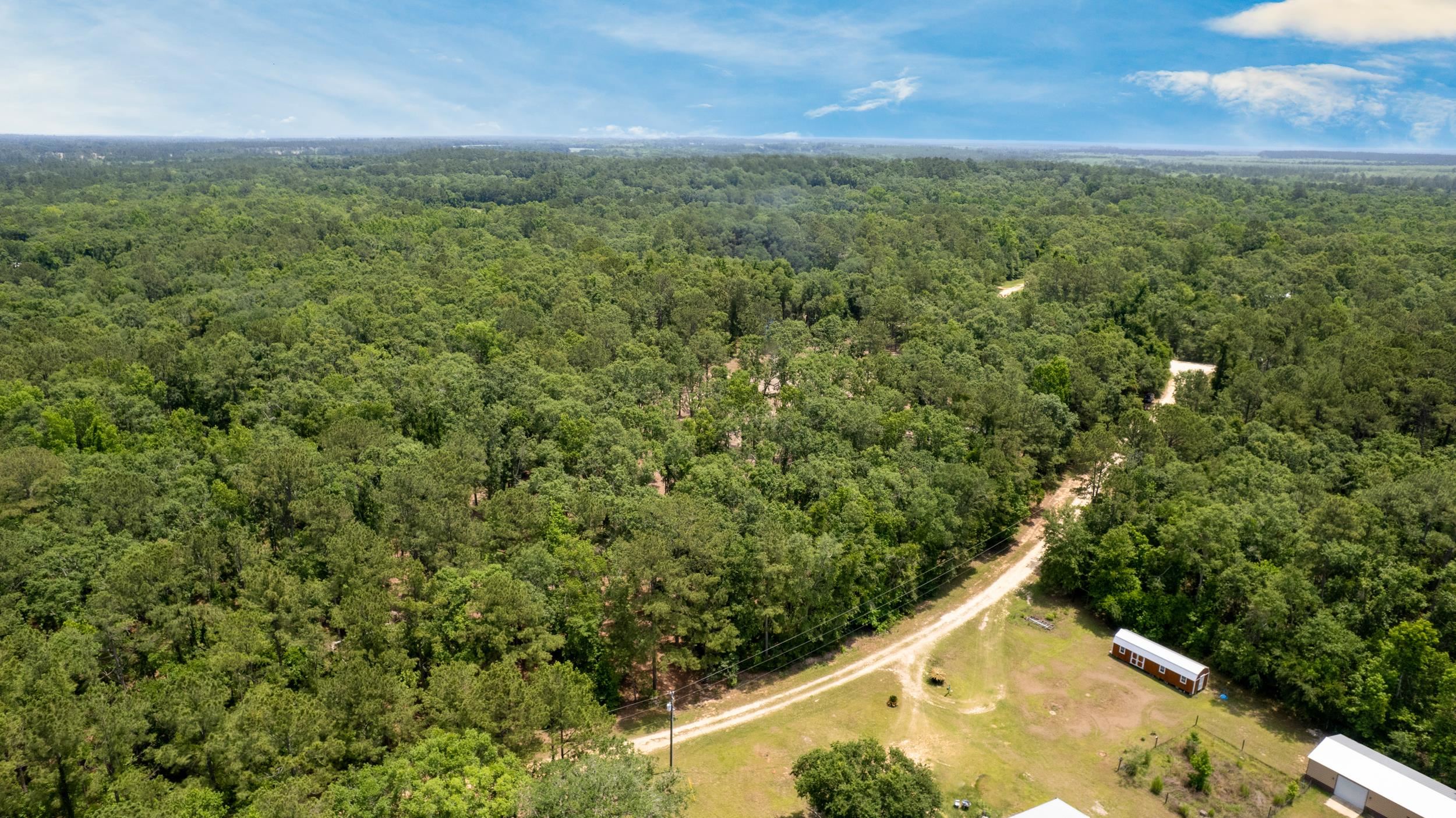 91 W 7th Way, Greenville, Florida image 18