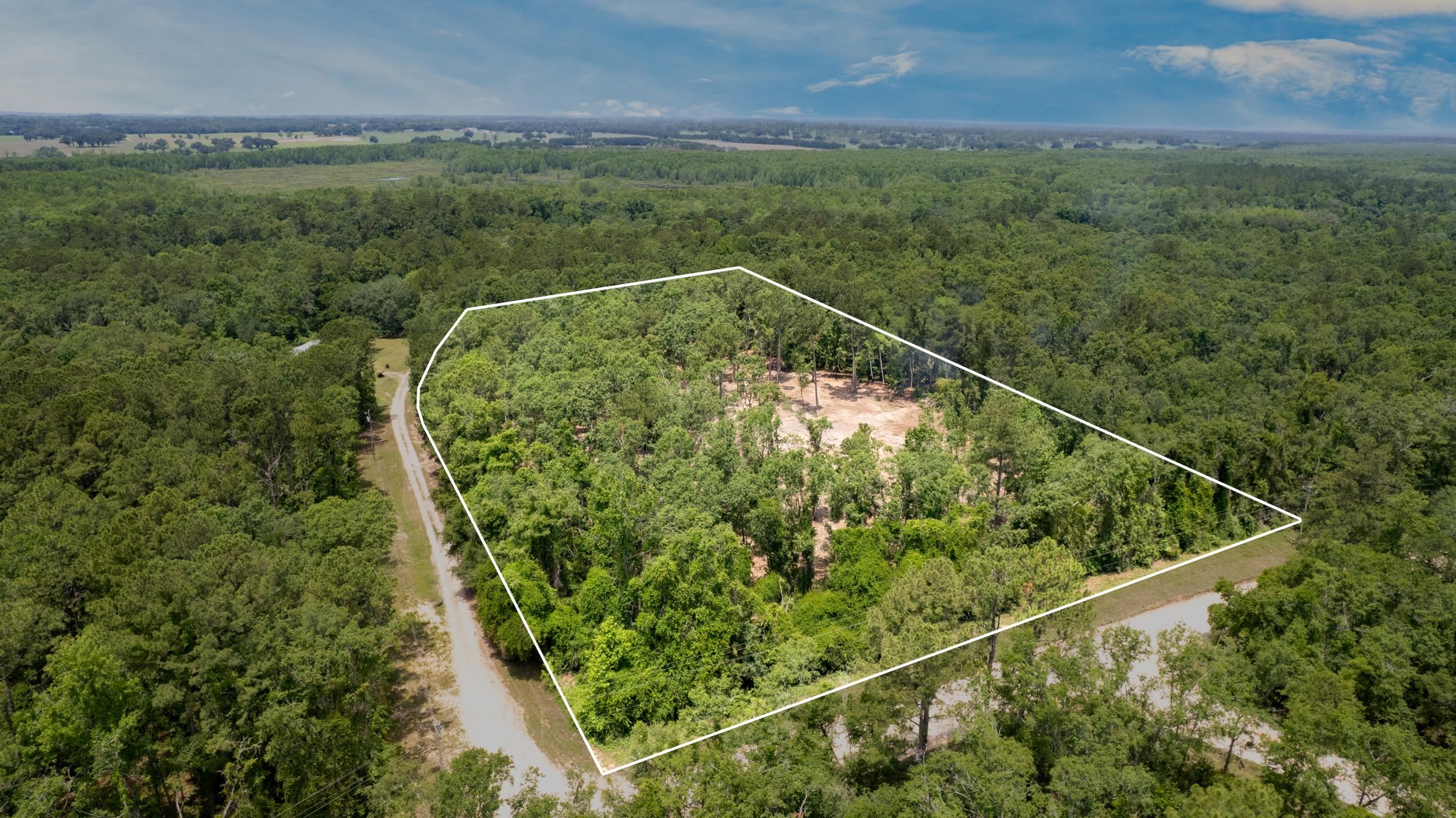 91 W 7th Way, Greenville, Florida image 19