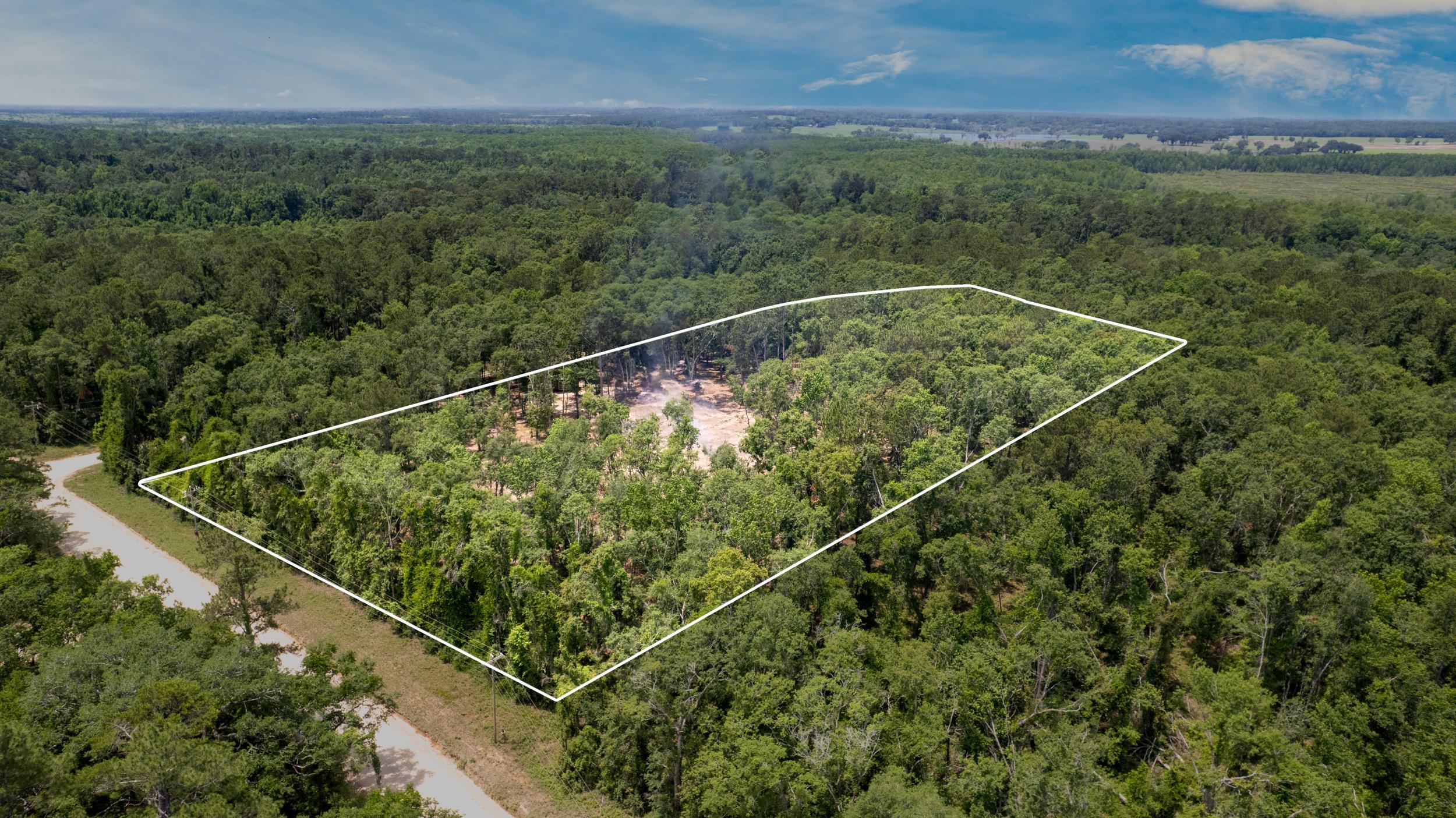 91 W 7th Way, Greenville, Florida image 2