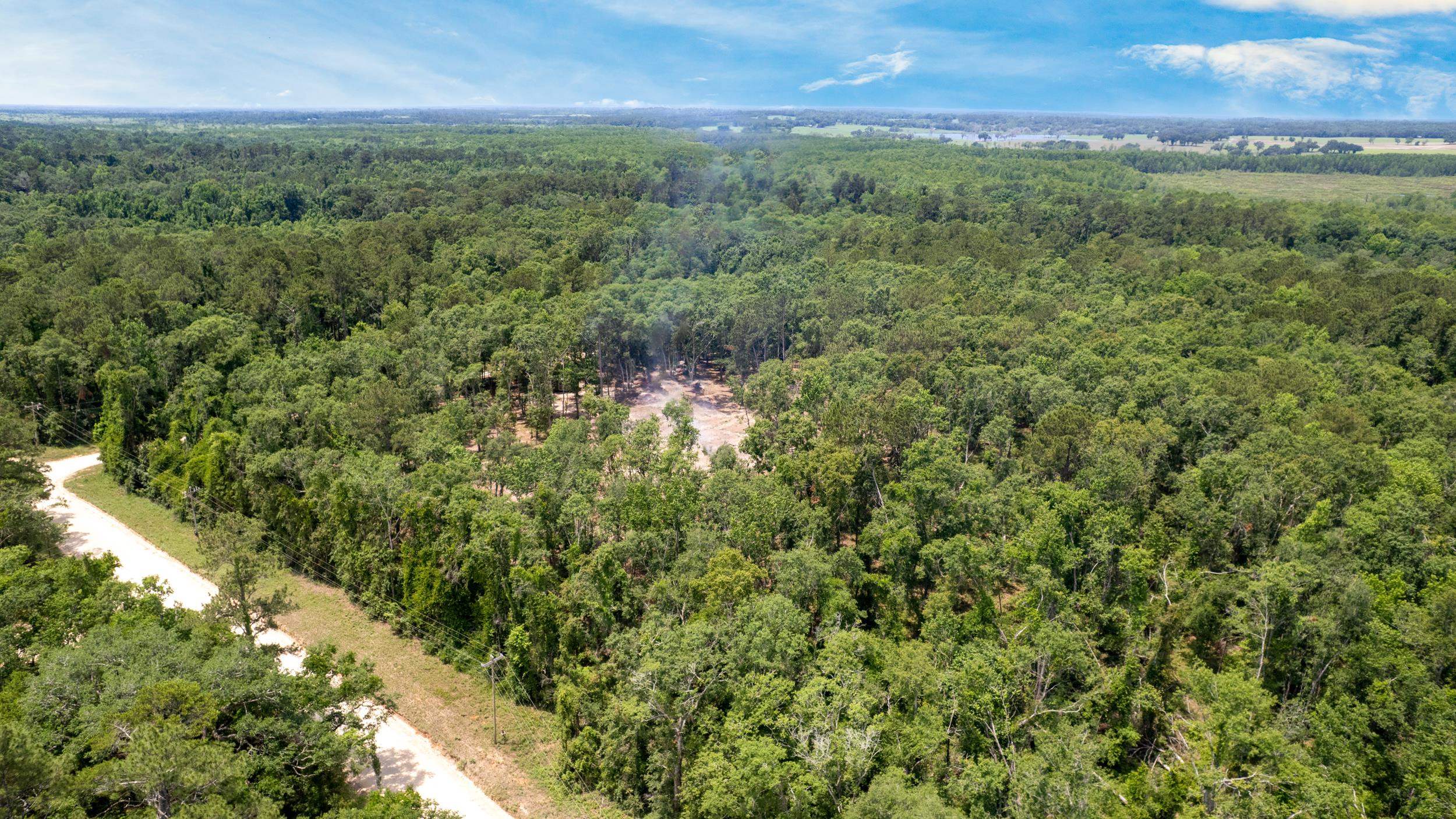 91 W 7th Way, Greenville, Florida image 3