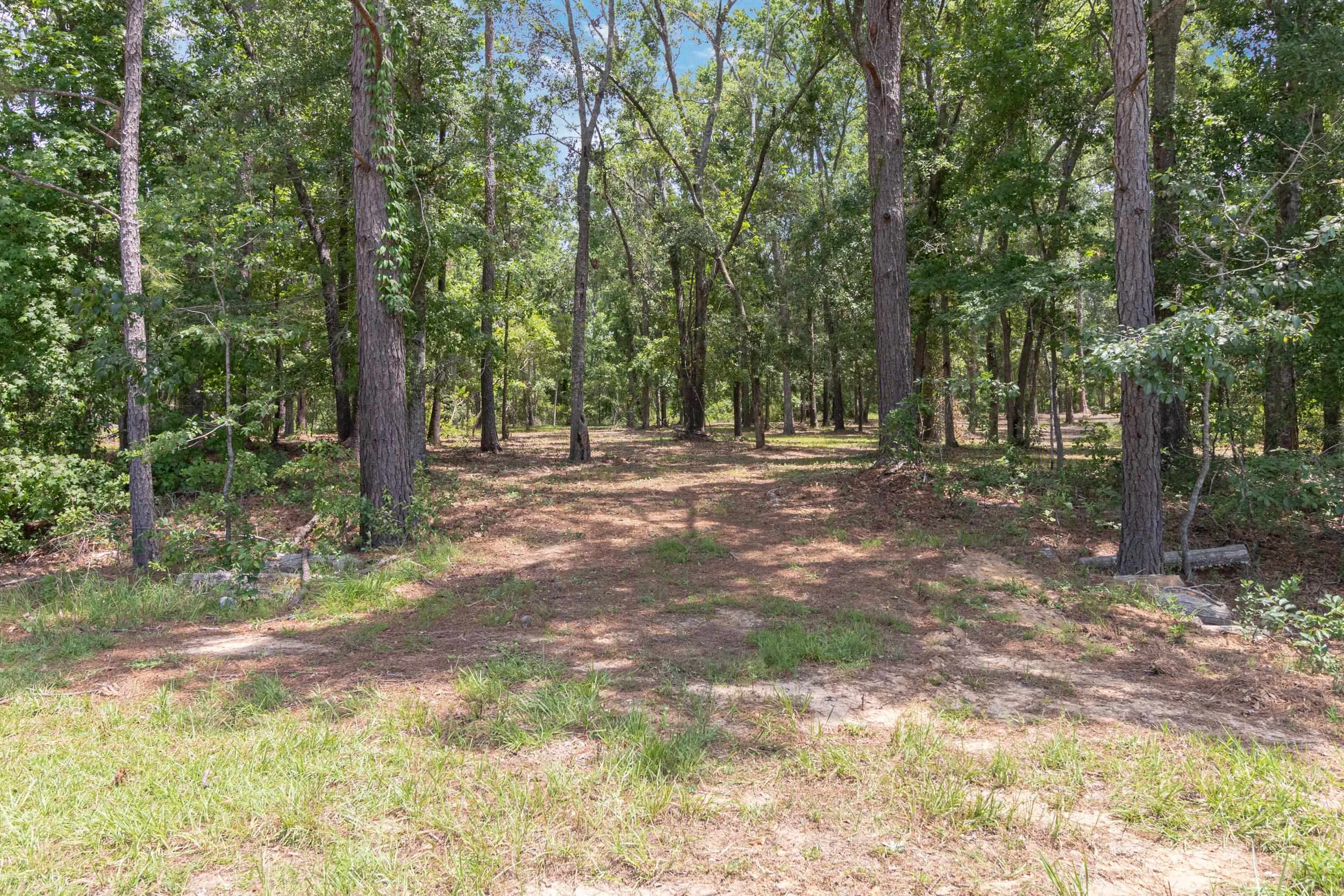 91 W 7th Way, Greenville, Florida image 6