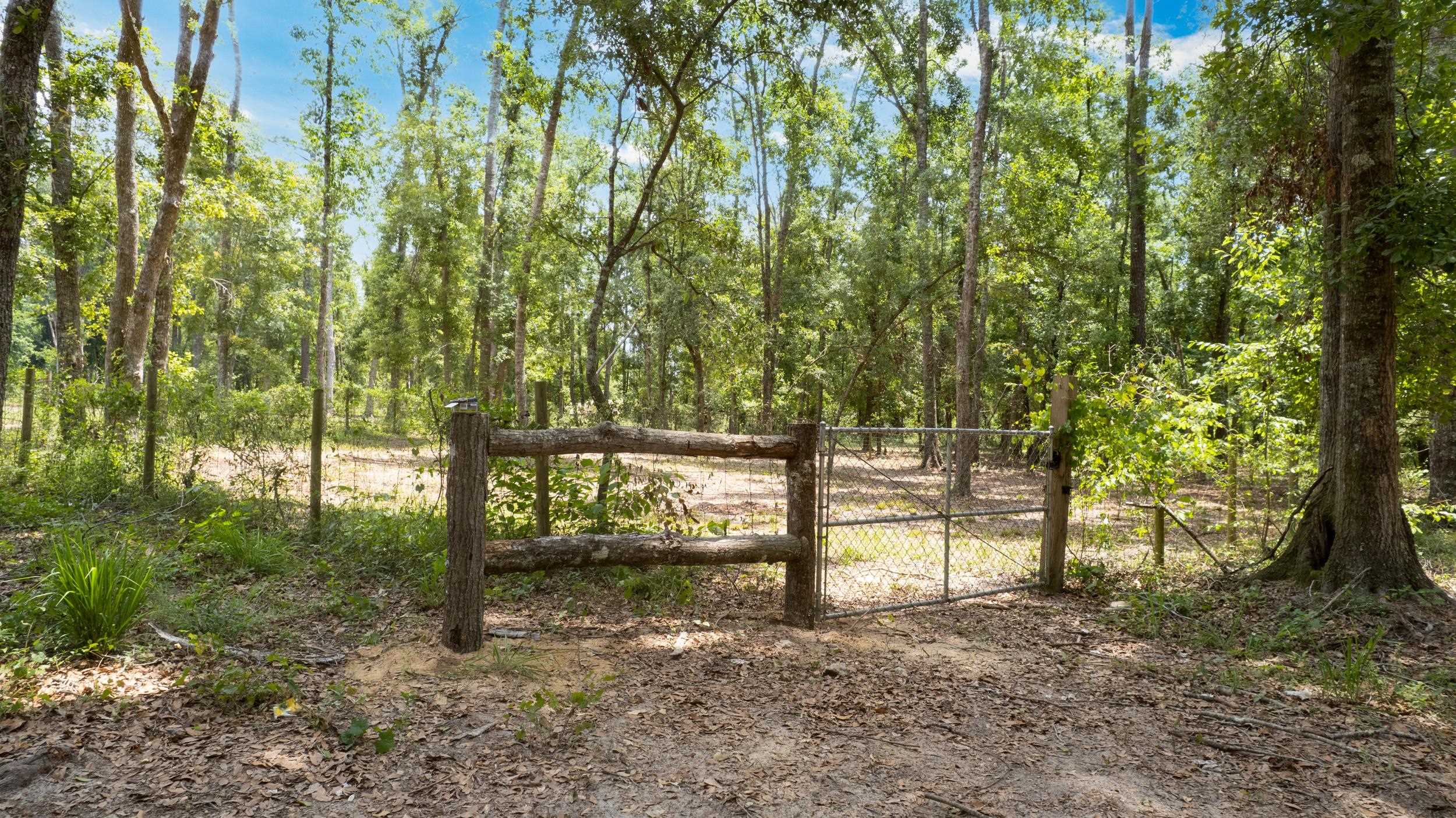 91 W 7th Way, Greenville, Florida image 9