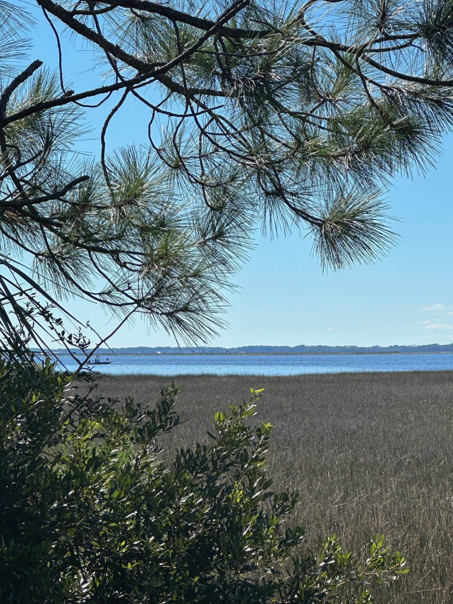 Lot 6 Cedar Island Way, Crawfordville, Florida image 4