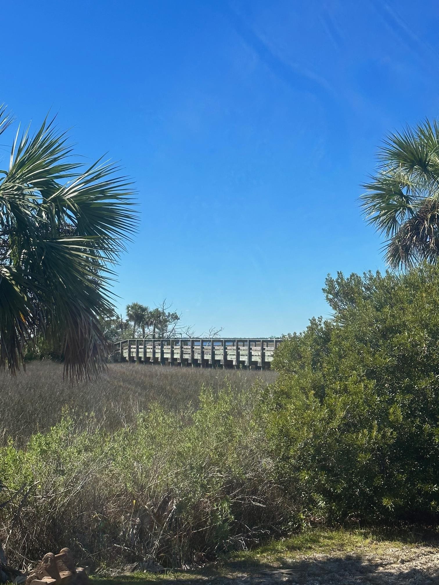 Lot 6 Cedar Island Way, Crawfordville, Florida image 6