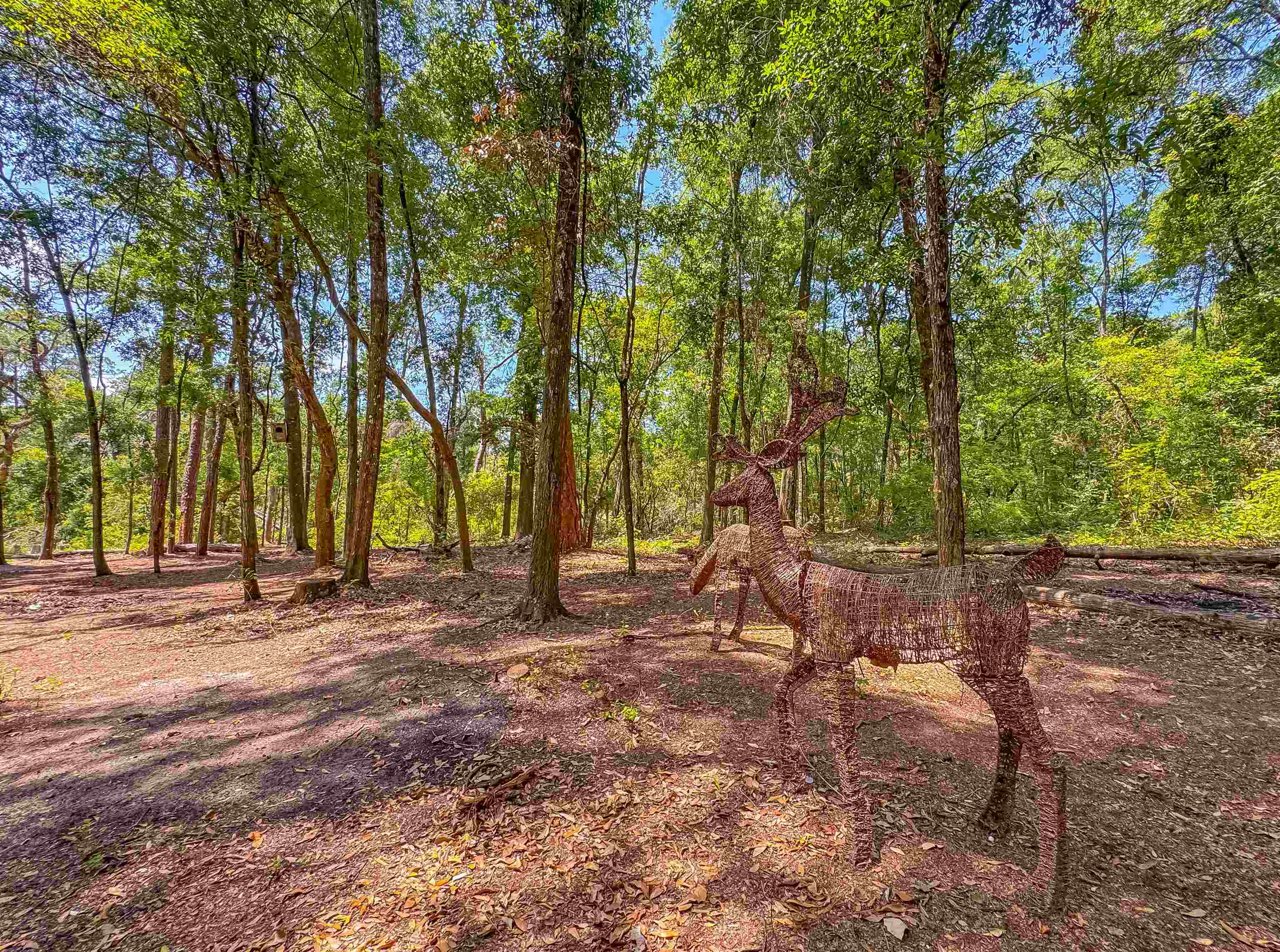 1836 Chena Drive, Tallahassee, Texas image 1