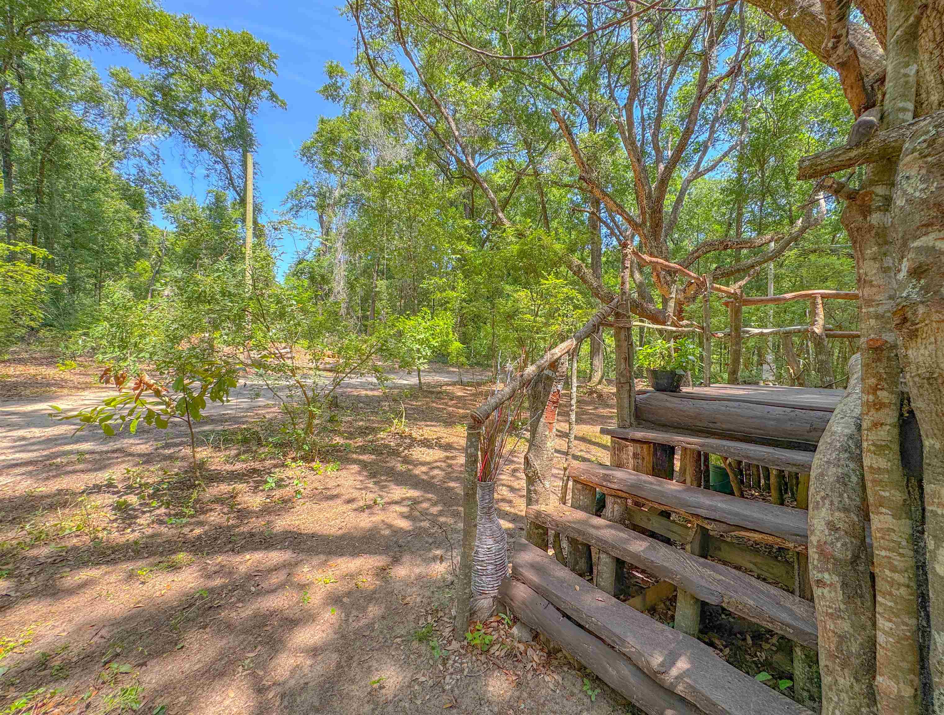 1836 Chena Drive, Tallahassee, Texas image 22
