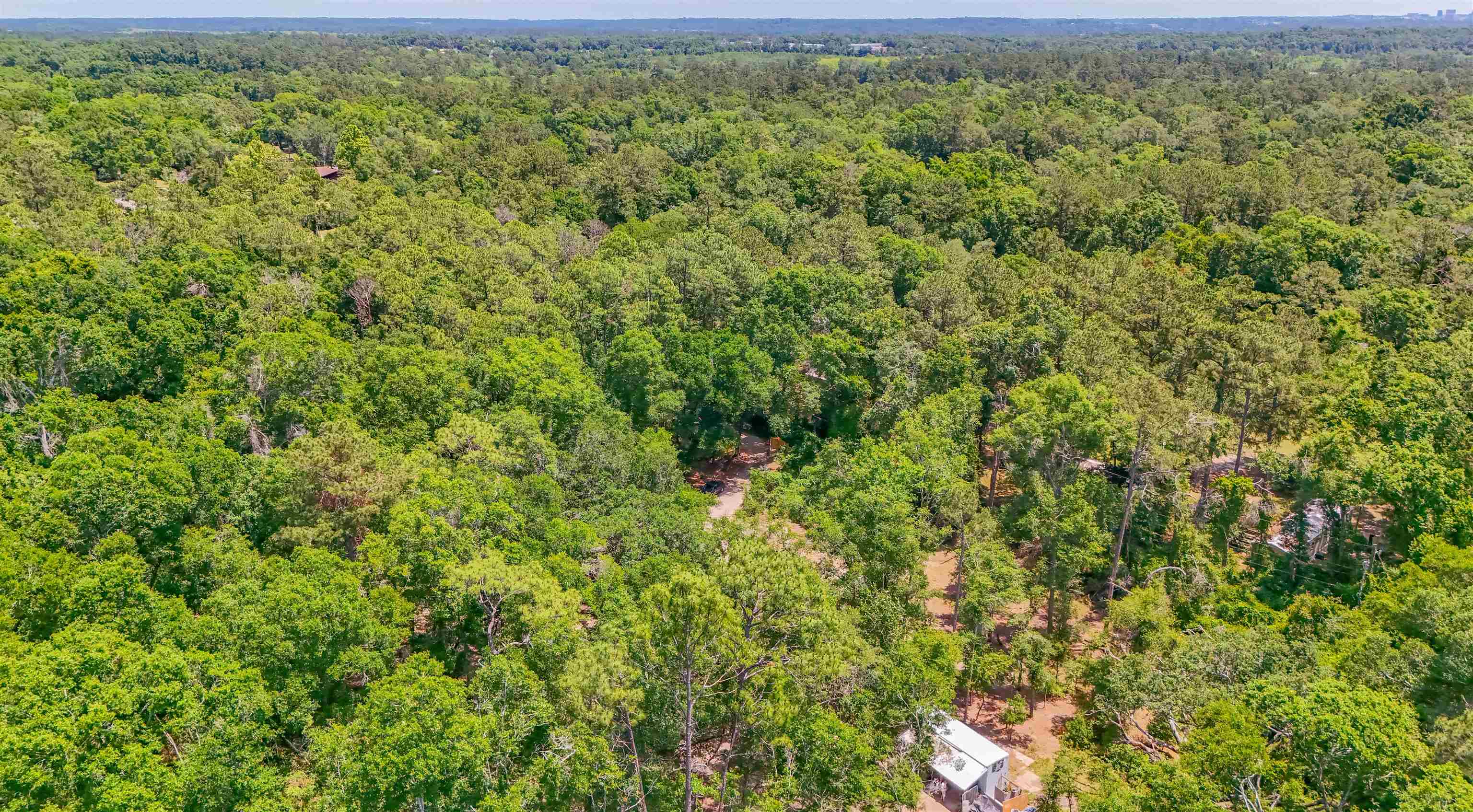 1836 Chena Drive, Tallahassee, Texas image 3