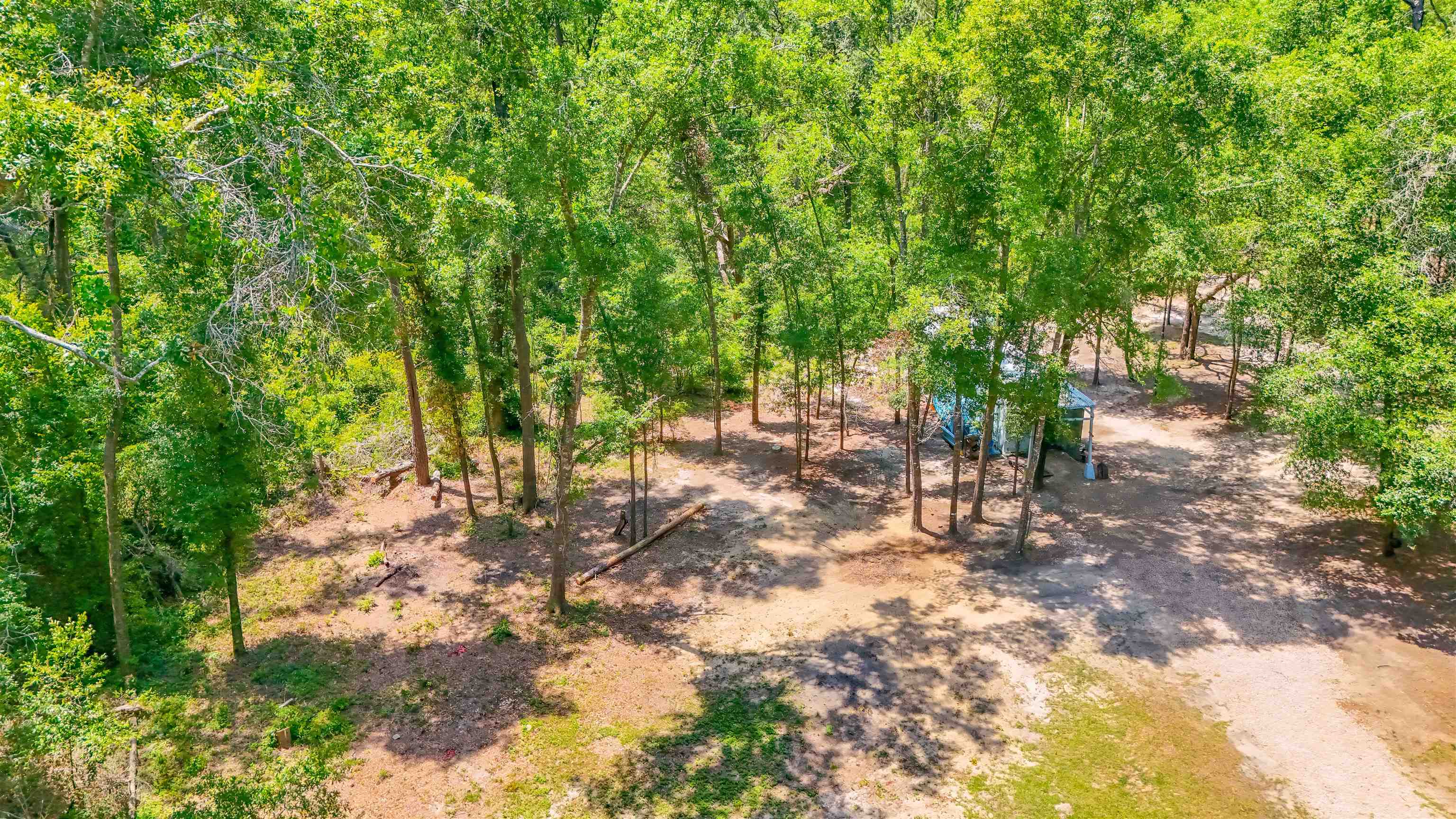 1836 Chena Drive, Tallahassee, Texas image 30