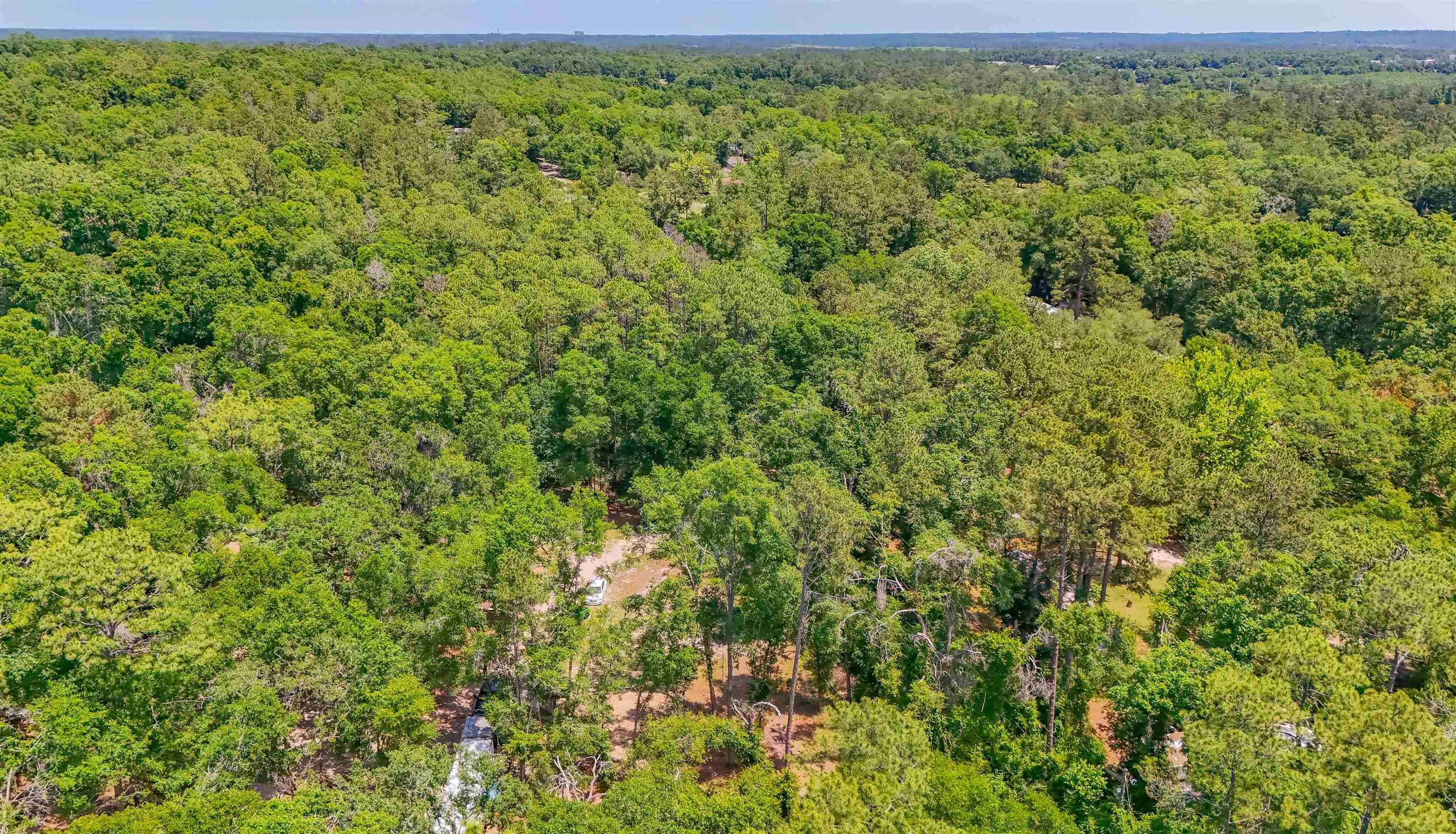 1836 Chena Drive, Tallahassee, Texas image 4