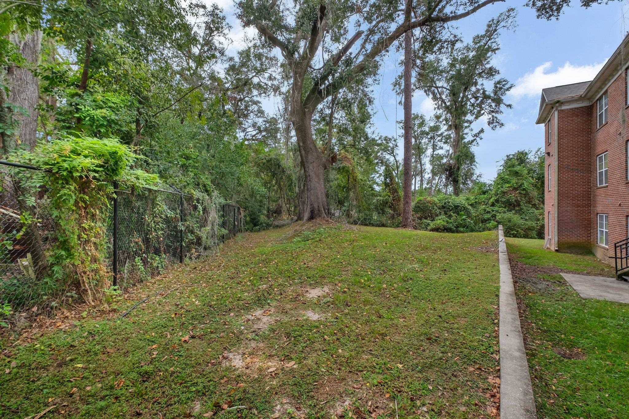 3000 S Adams Street #111, Tallahassee, Florida image 24