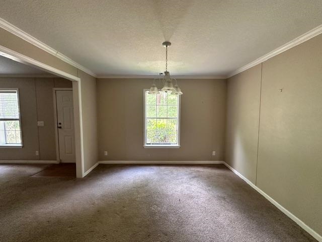 120 Wildflower Lane, Crawfordville, Florida image 11