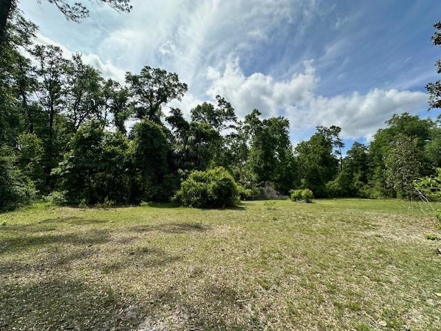 120 Wildflower Lane, Crawfordville, Florida image 3