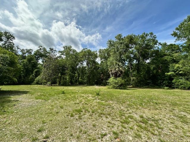 120 Wildflower Lane, Crawfordville, Florida image 5