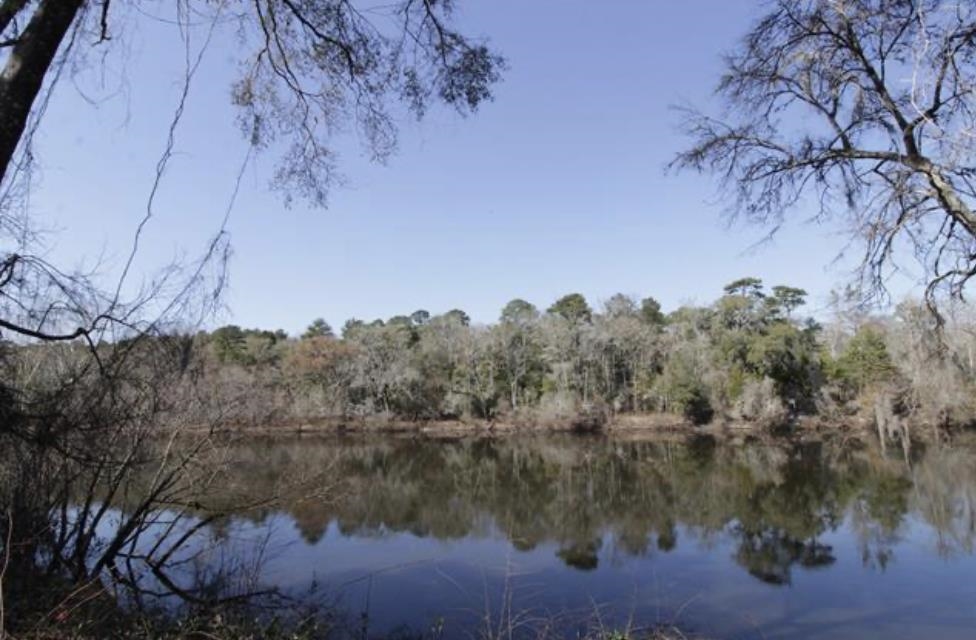4866 Crooked Road, Tallahassee, Texas image 8