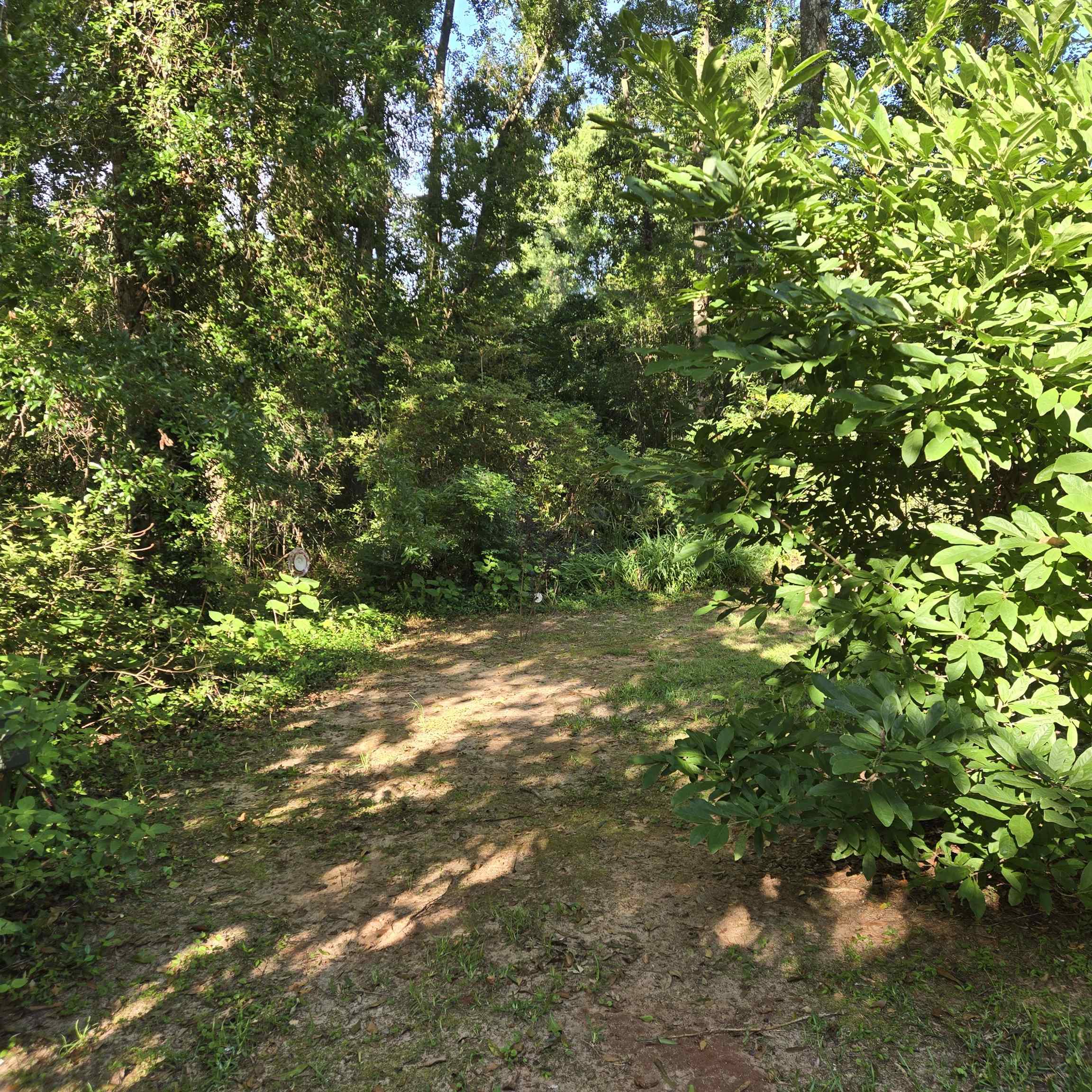 1322 Alshire Court, Tallahassee, Texas image 16