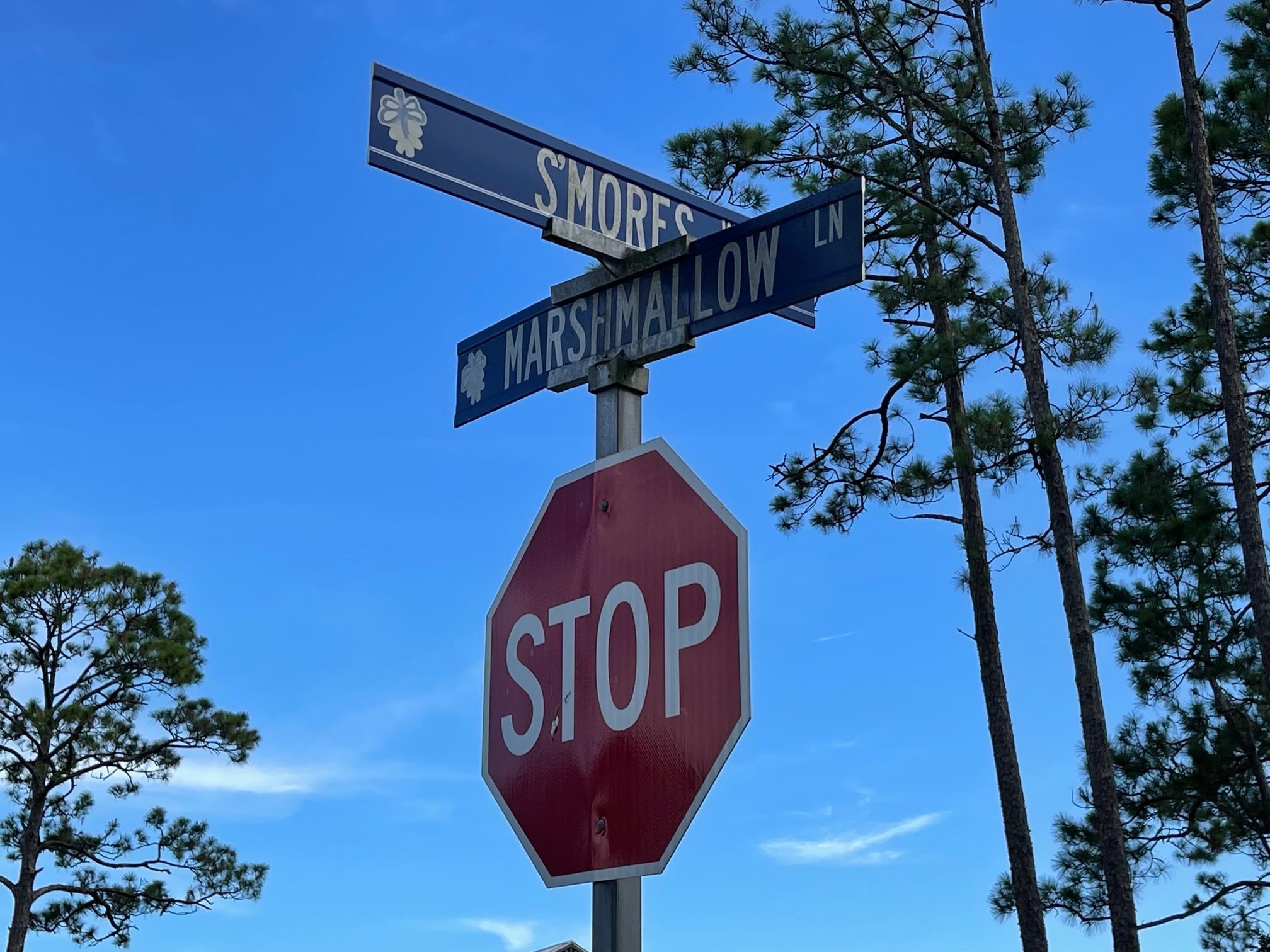 143 Smores Way #LOT 496 - EAST, St Teresa, Florida image 30