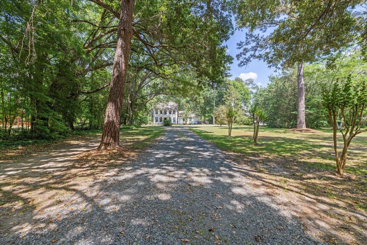 4310 Rabbit Pond Road, Tallahassee, Texas image 1