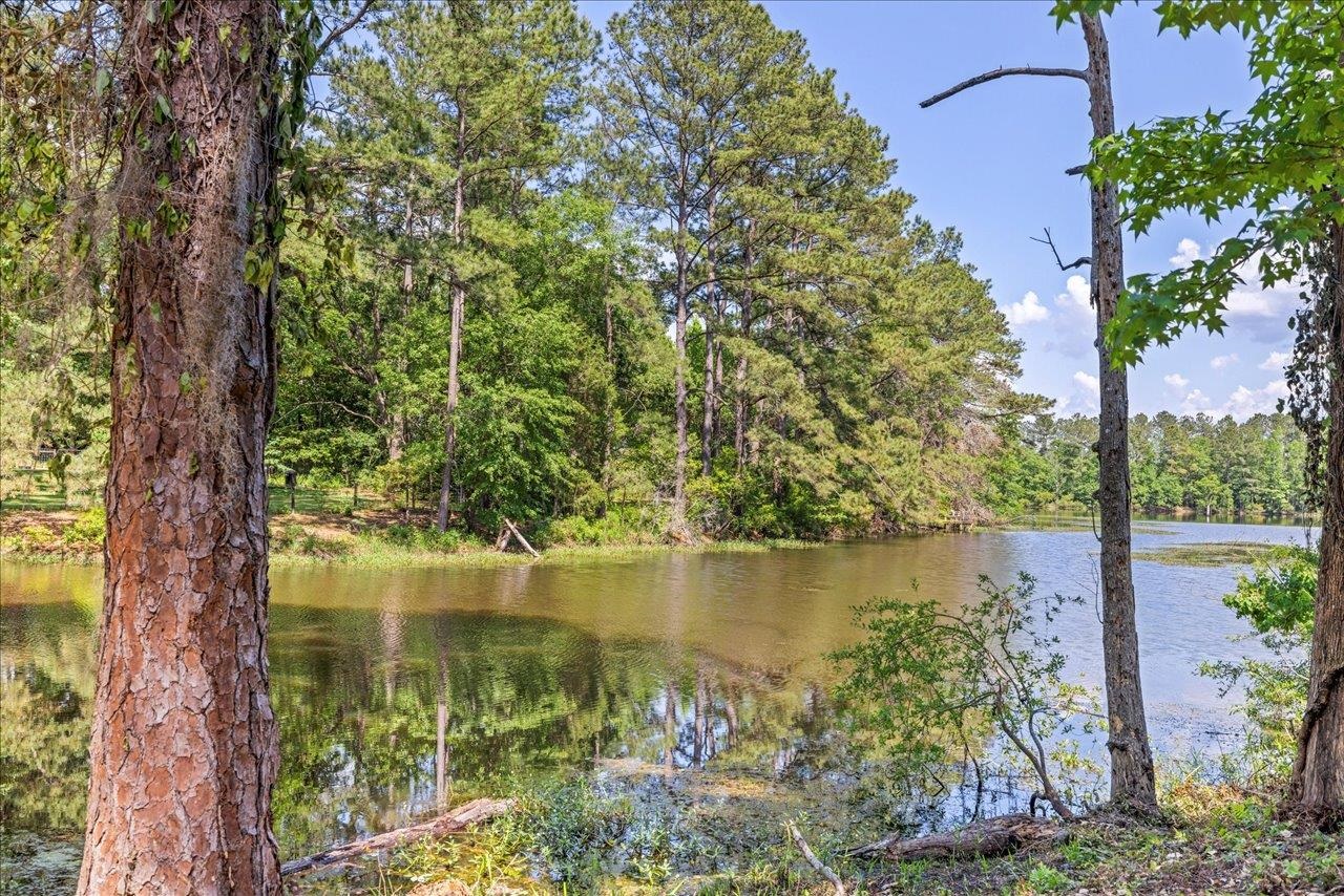 4310 Rabbit Pond Road, Tallahassee, Texas image 6