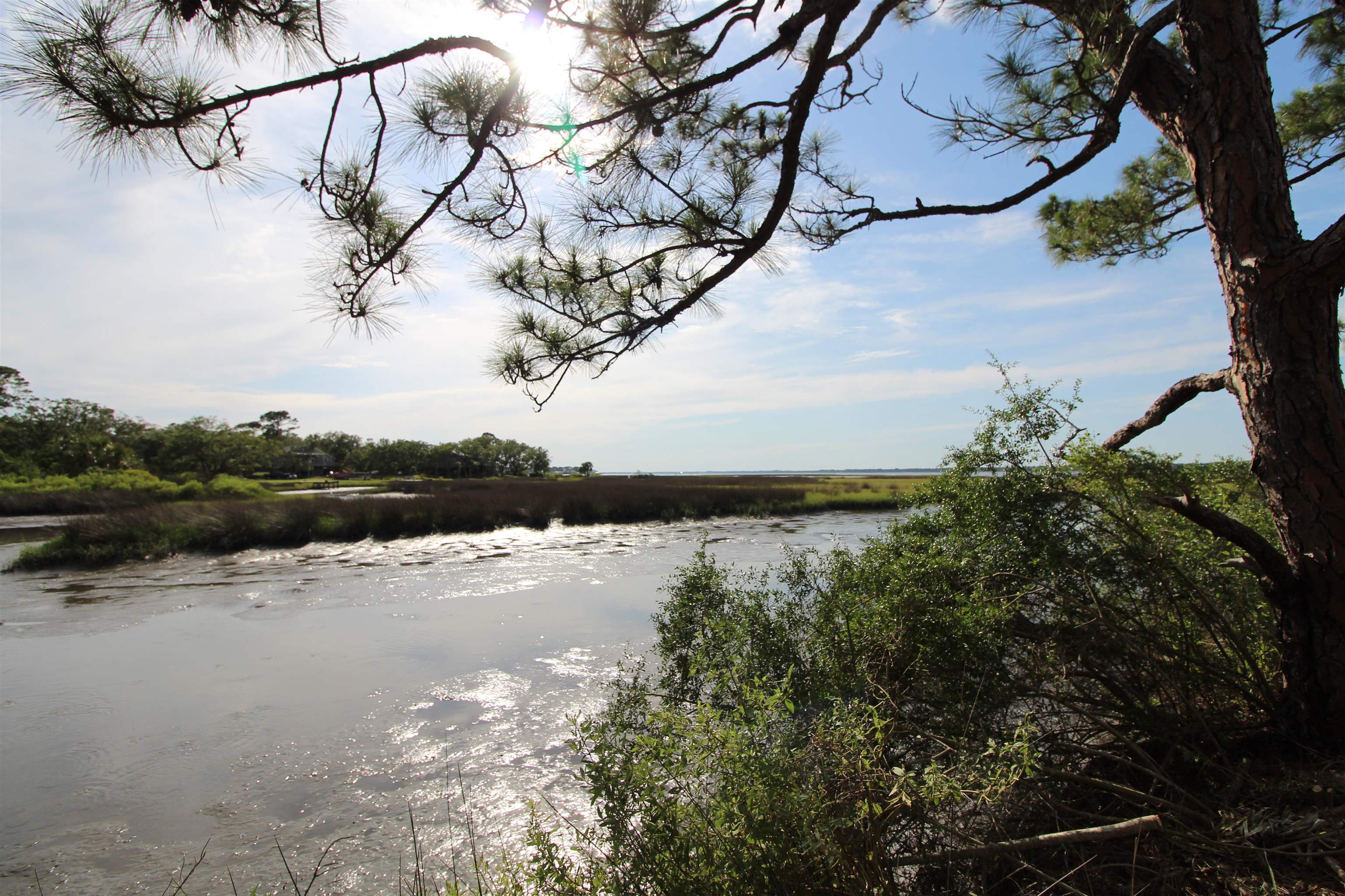 20 George Vause Road, Alligator Point, Florida image 1